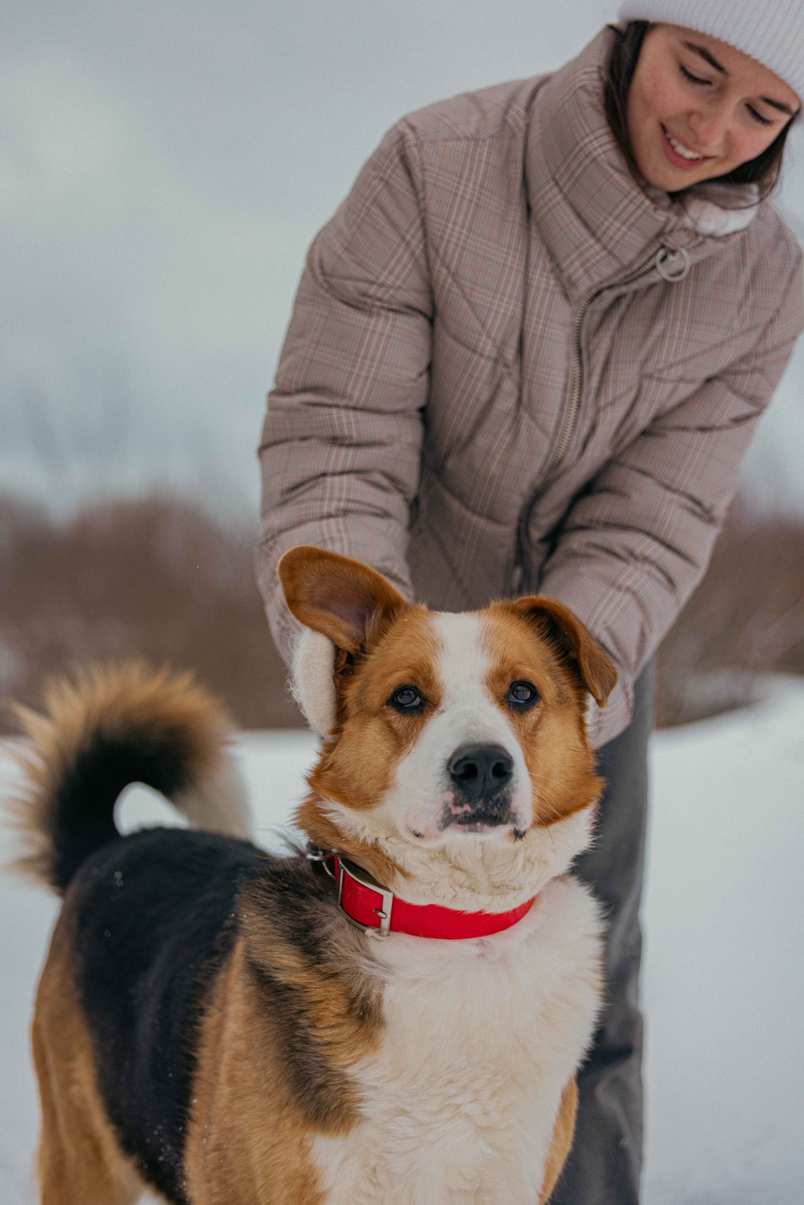 Петя. Фотограф-анималист в Москве Лера Черноног