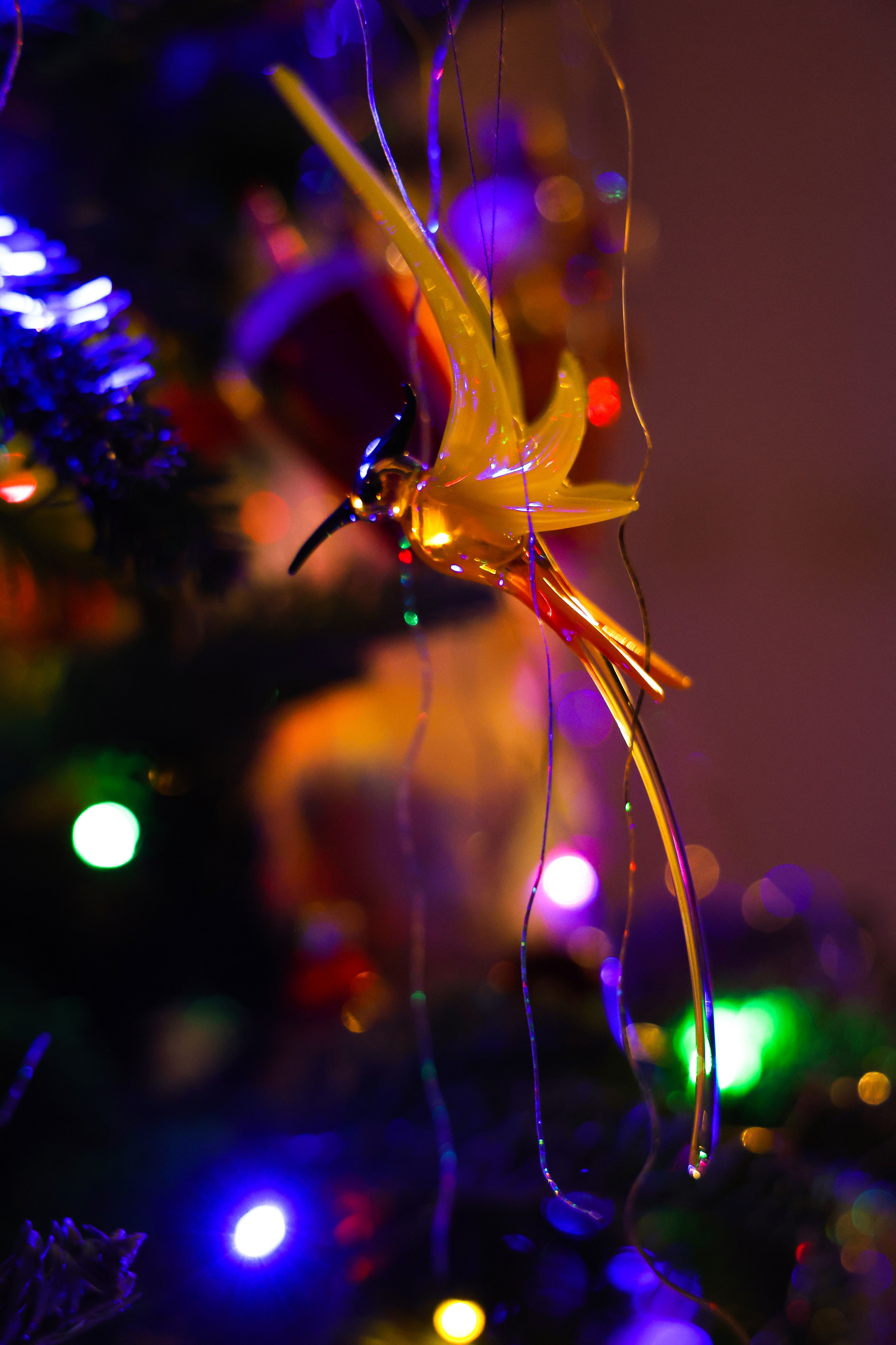 Christmas tree. Portrait photographer based in Toronto — Blinova Mariia