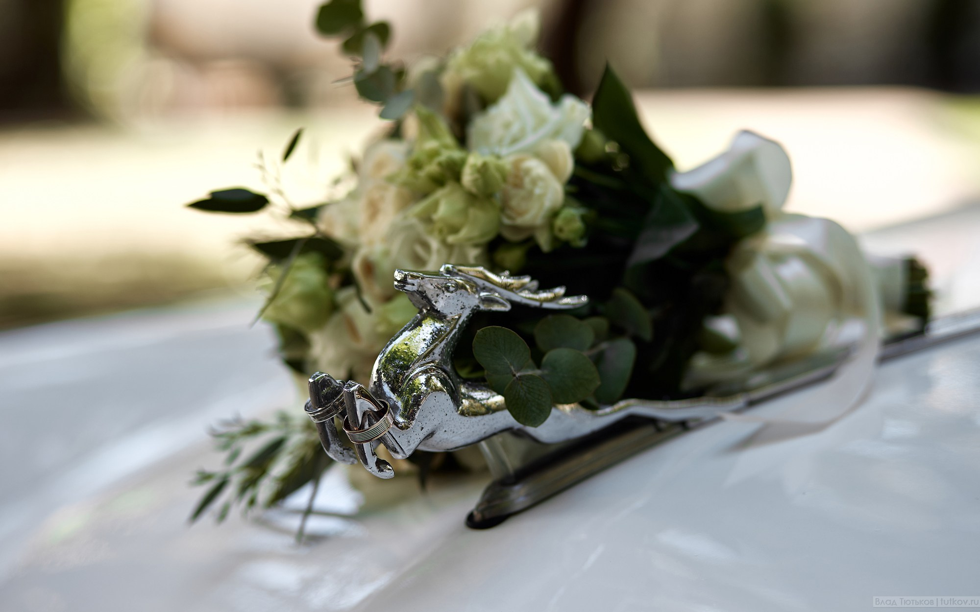 Юлия и Виталий. Свадебная фотосъёмка в Брянске | Влад и Ирина Тютьковы