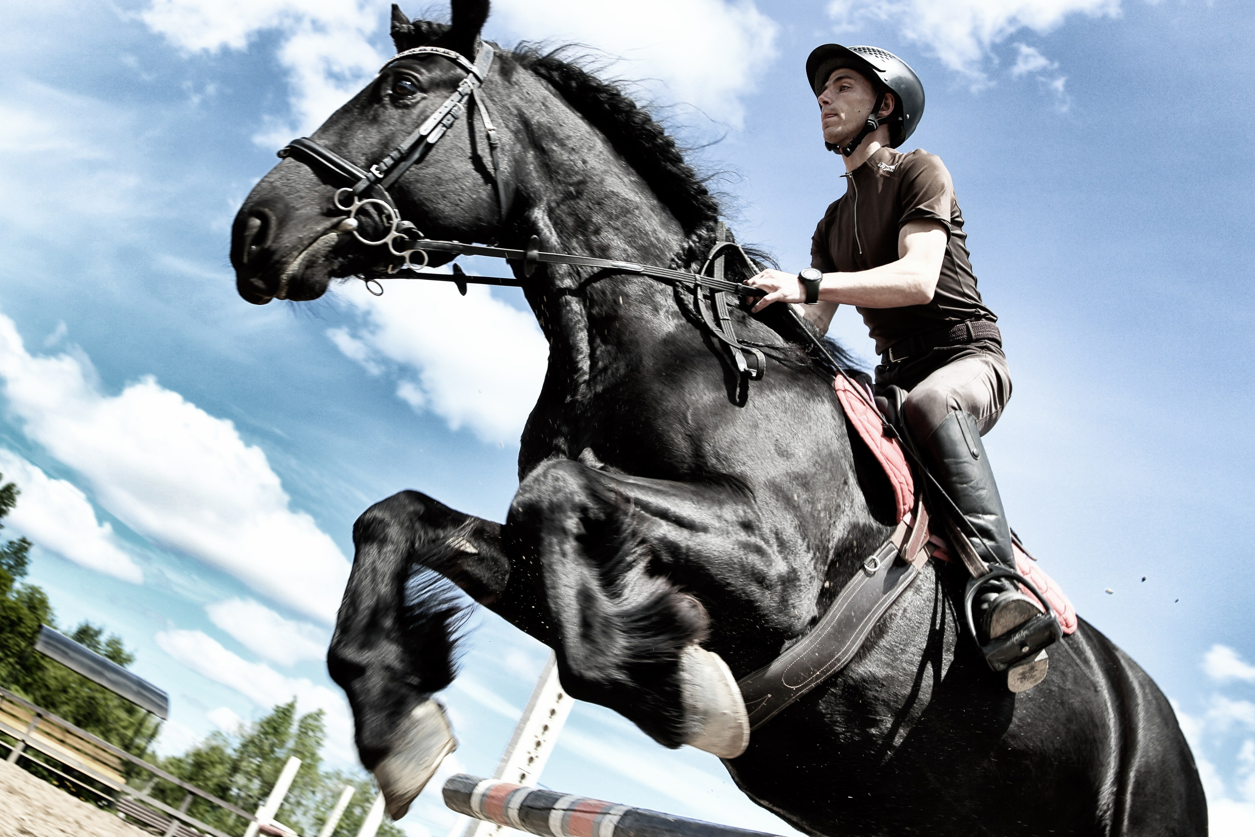 Лошади «Каскад» и «Брилиант». Алиса Томшина — Фотограф / Видеограф