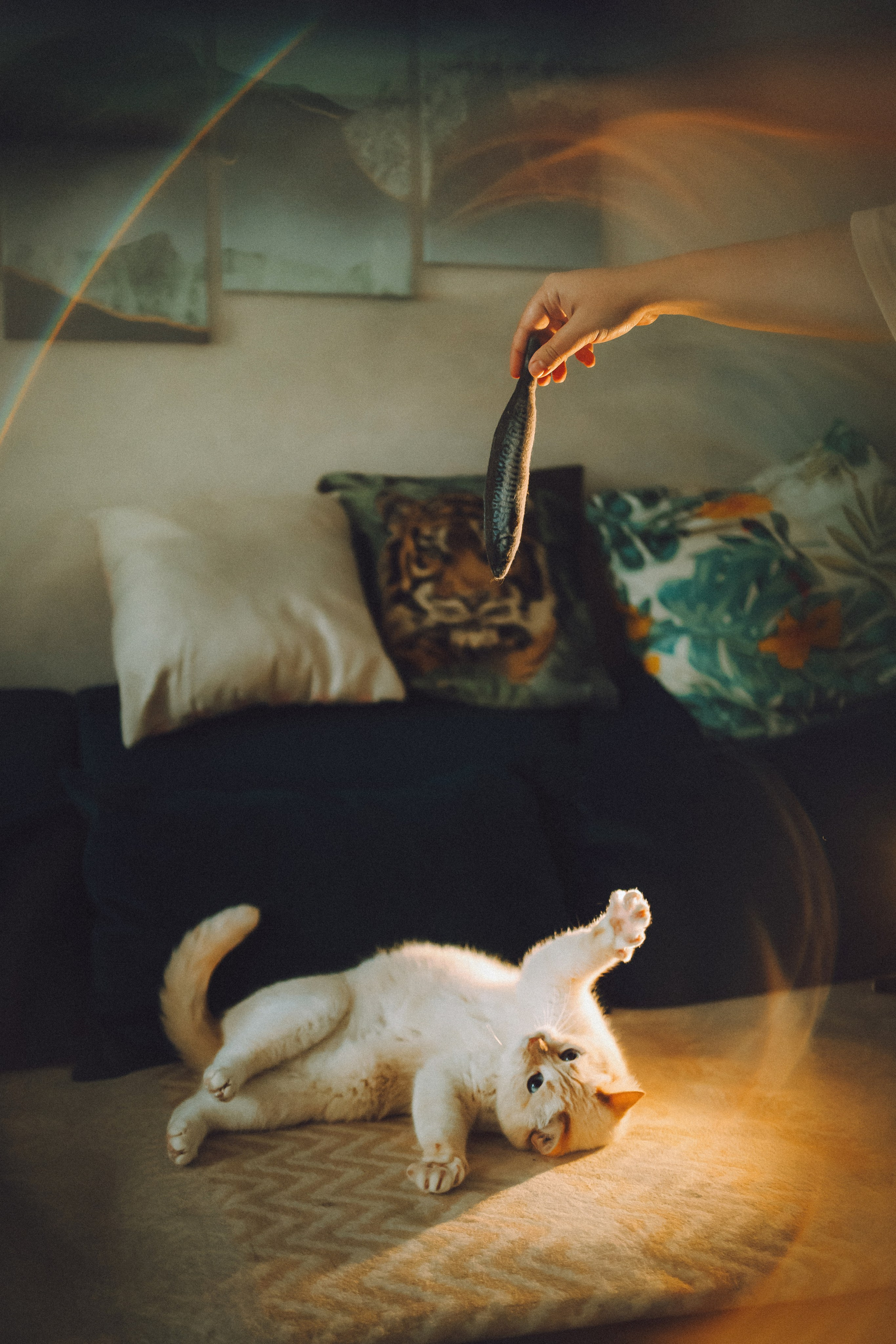 Топик и его семья