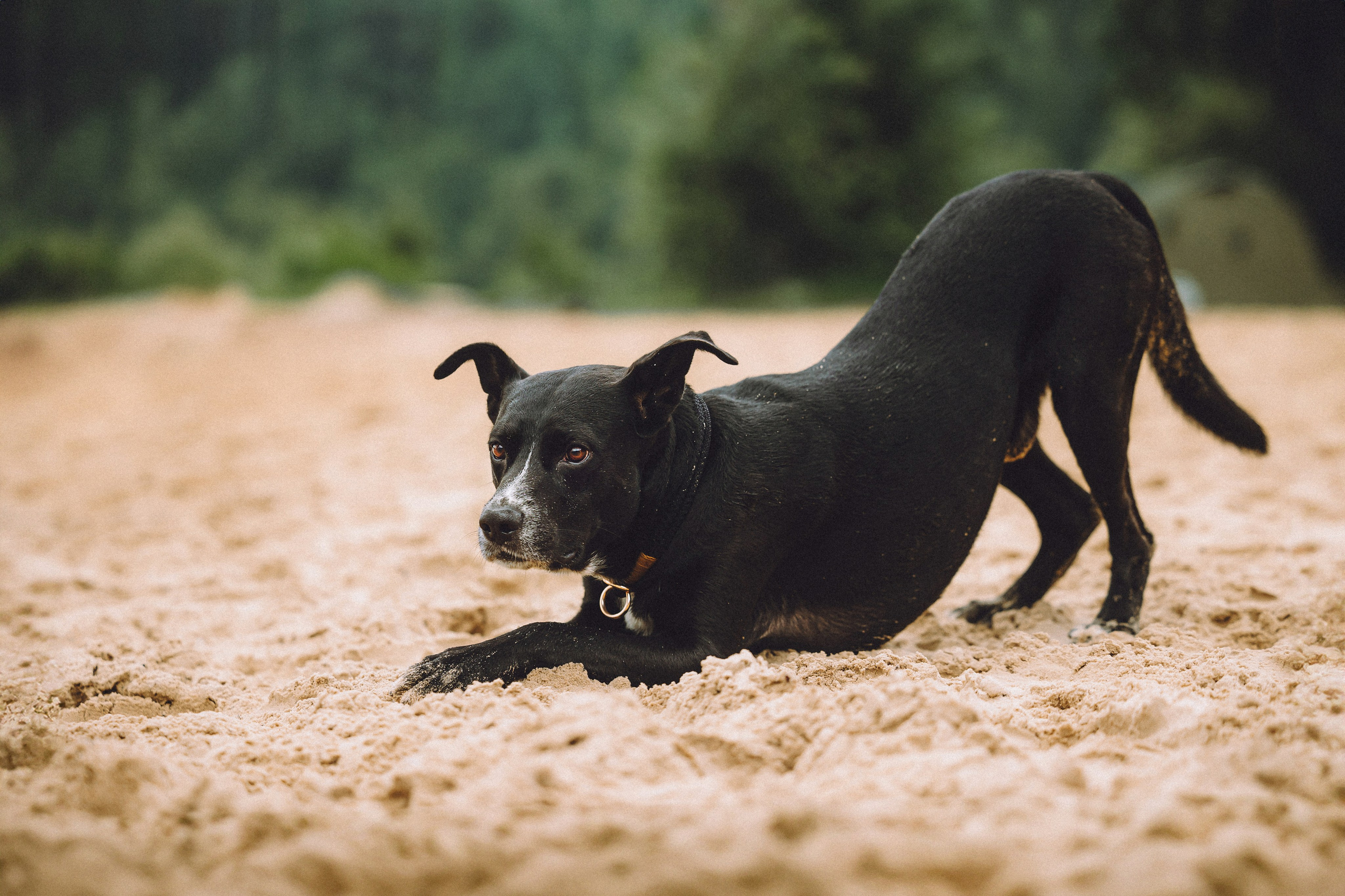 Роби, Тео и их семья