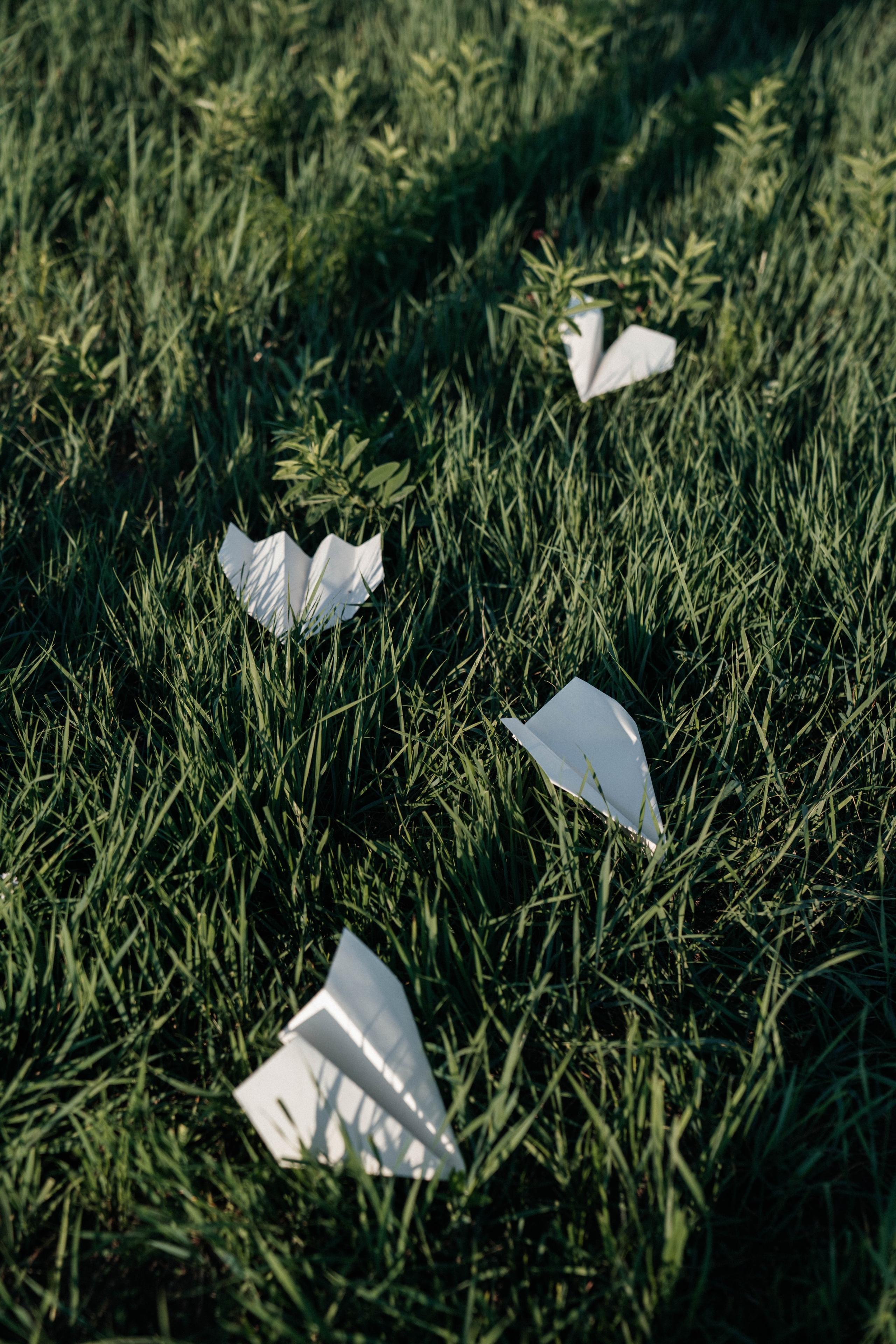 На перегонки с ветром!. Евгения Арефьева — свадебный и портретный фотограф в Чите