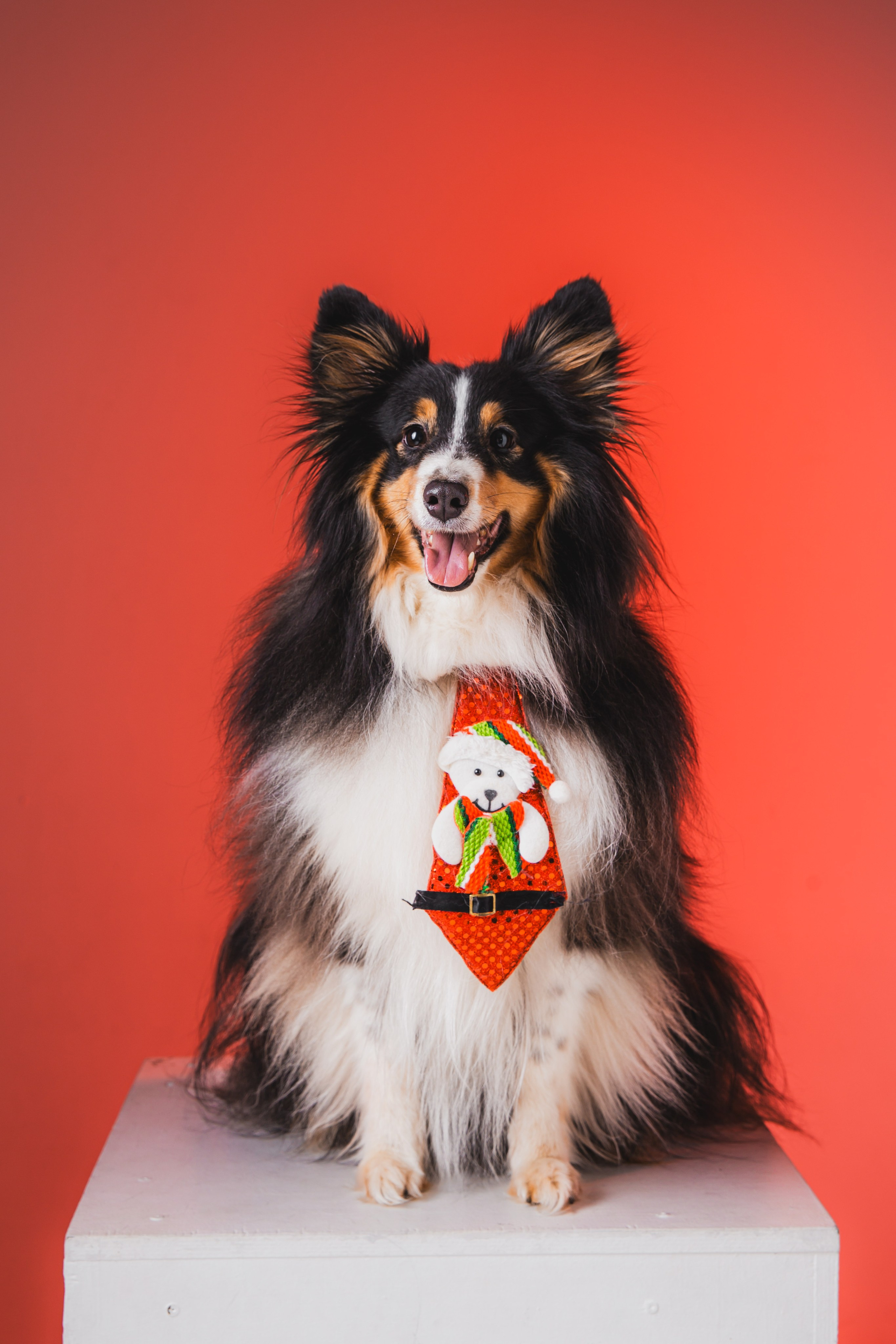 Воркшоп по импульсному свету