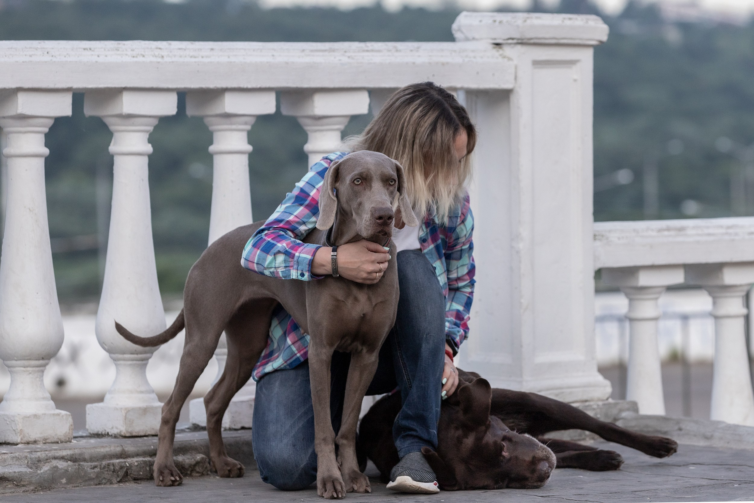 Оля, Джек и Айса. Фотограф-анималист в Калуге Мария Шерскова
