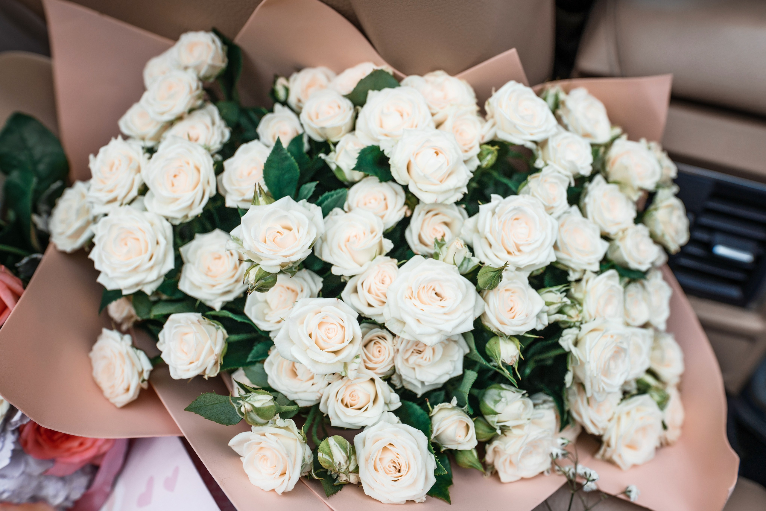 Свадебный фотограф в Сочи. Фотограф Сочи