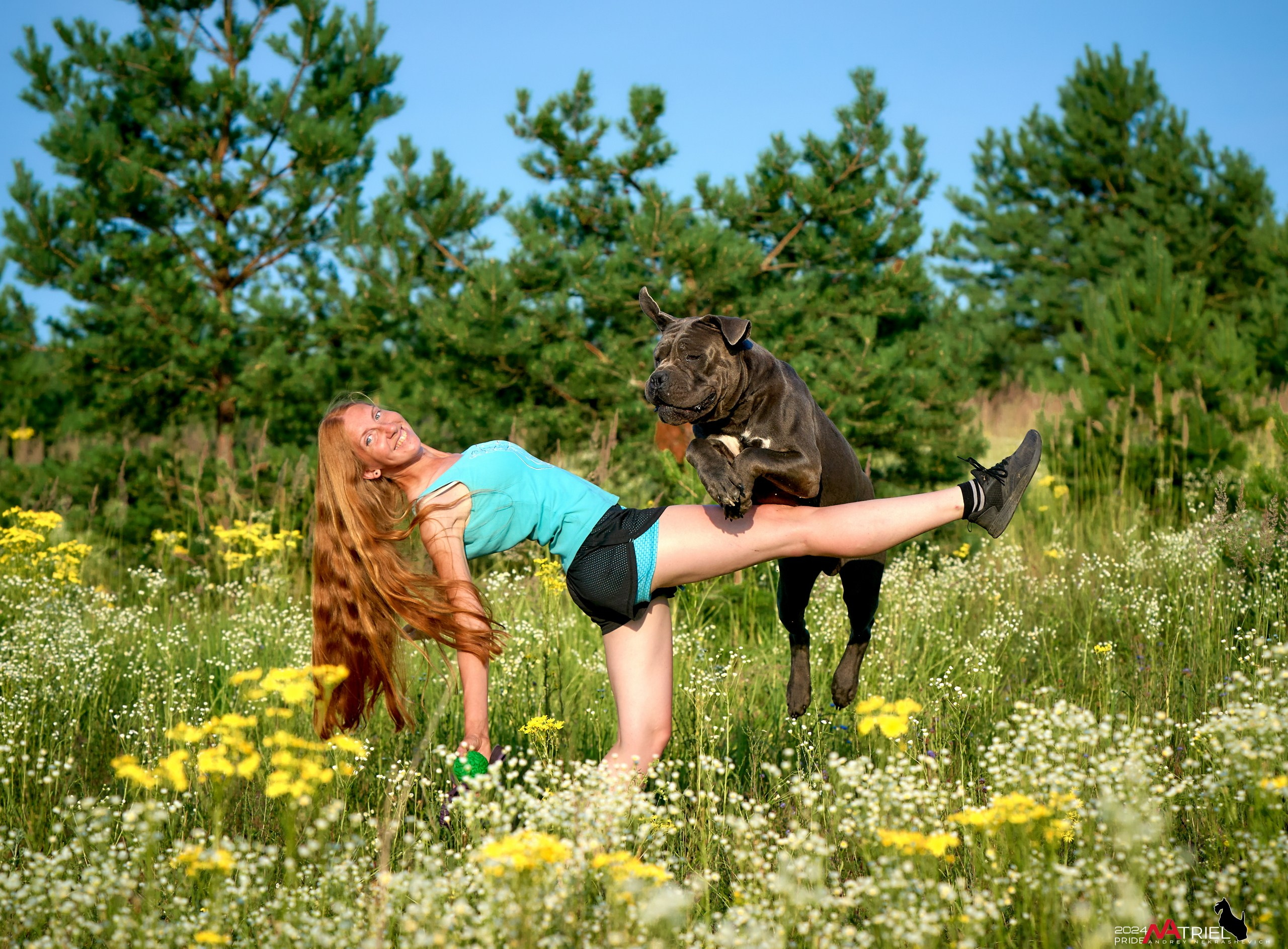 Репортаж из кинологического лагеря