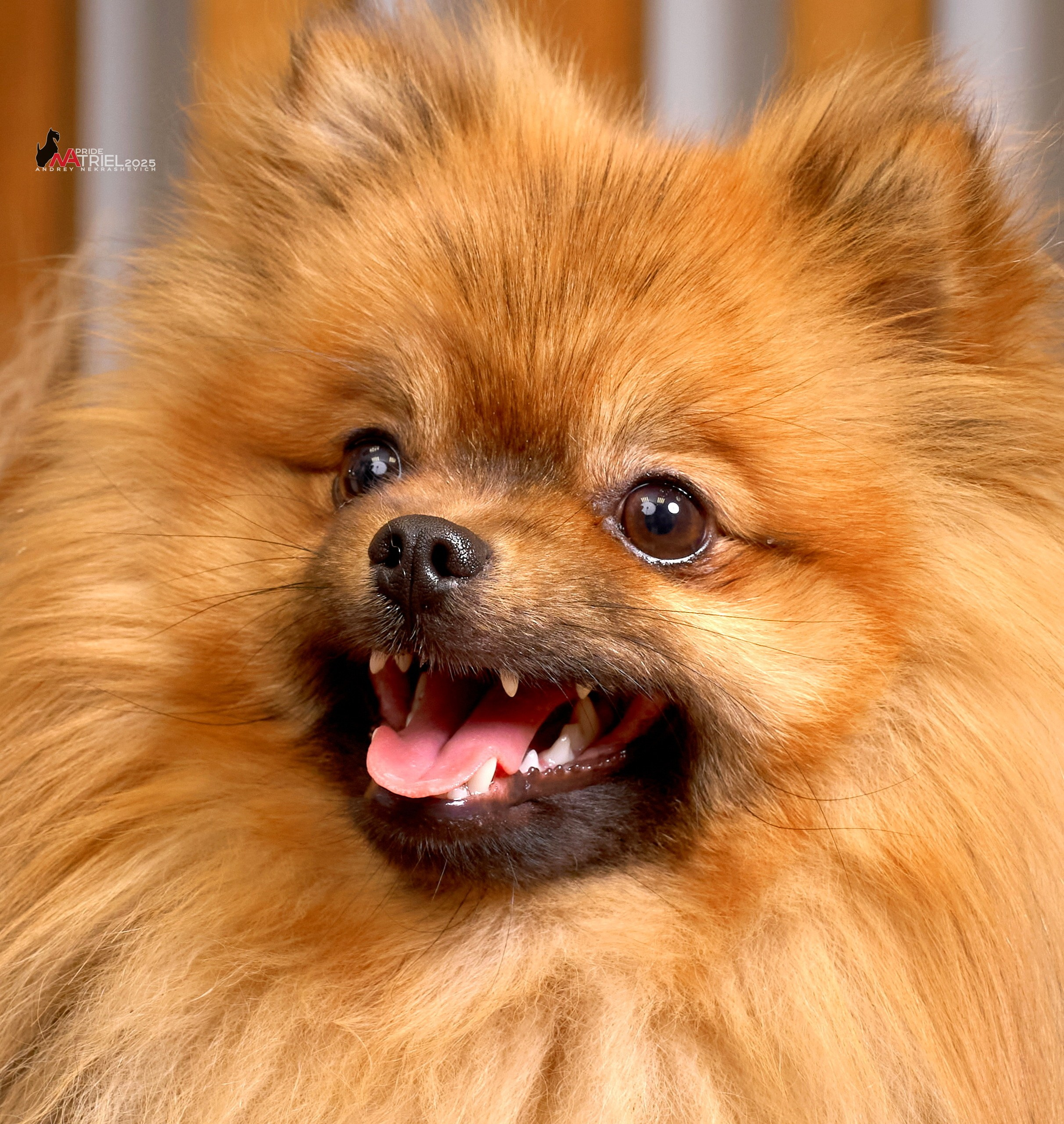 Репортаж GROOM с мобильным светом