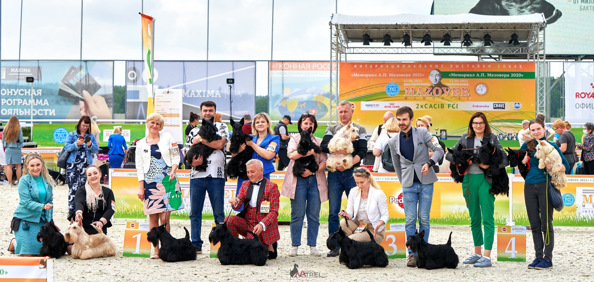 Призовые места — галерея NATRIEL