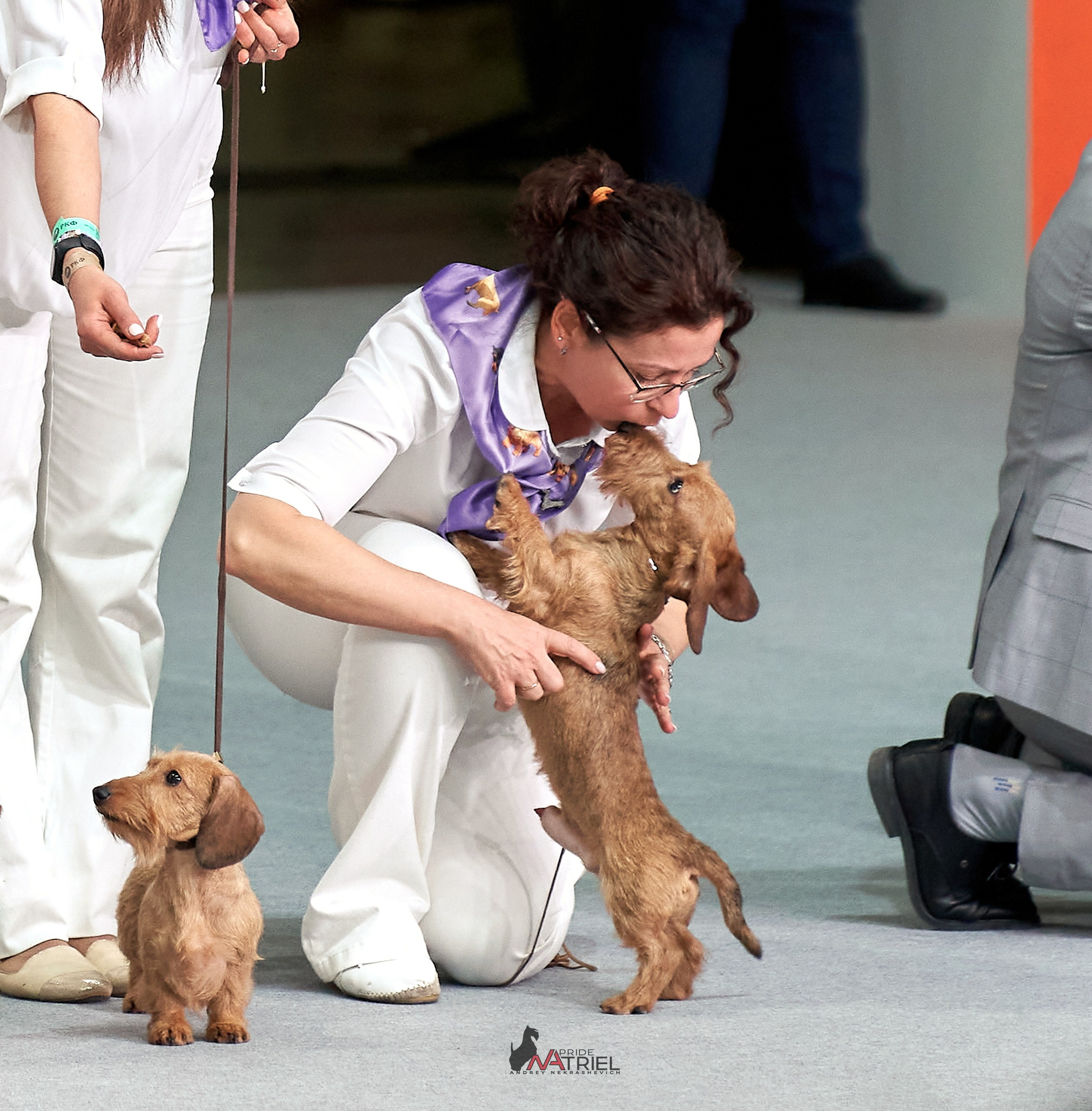 Работа в рингах — галерея NATRIEL