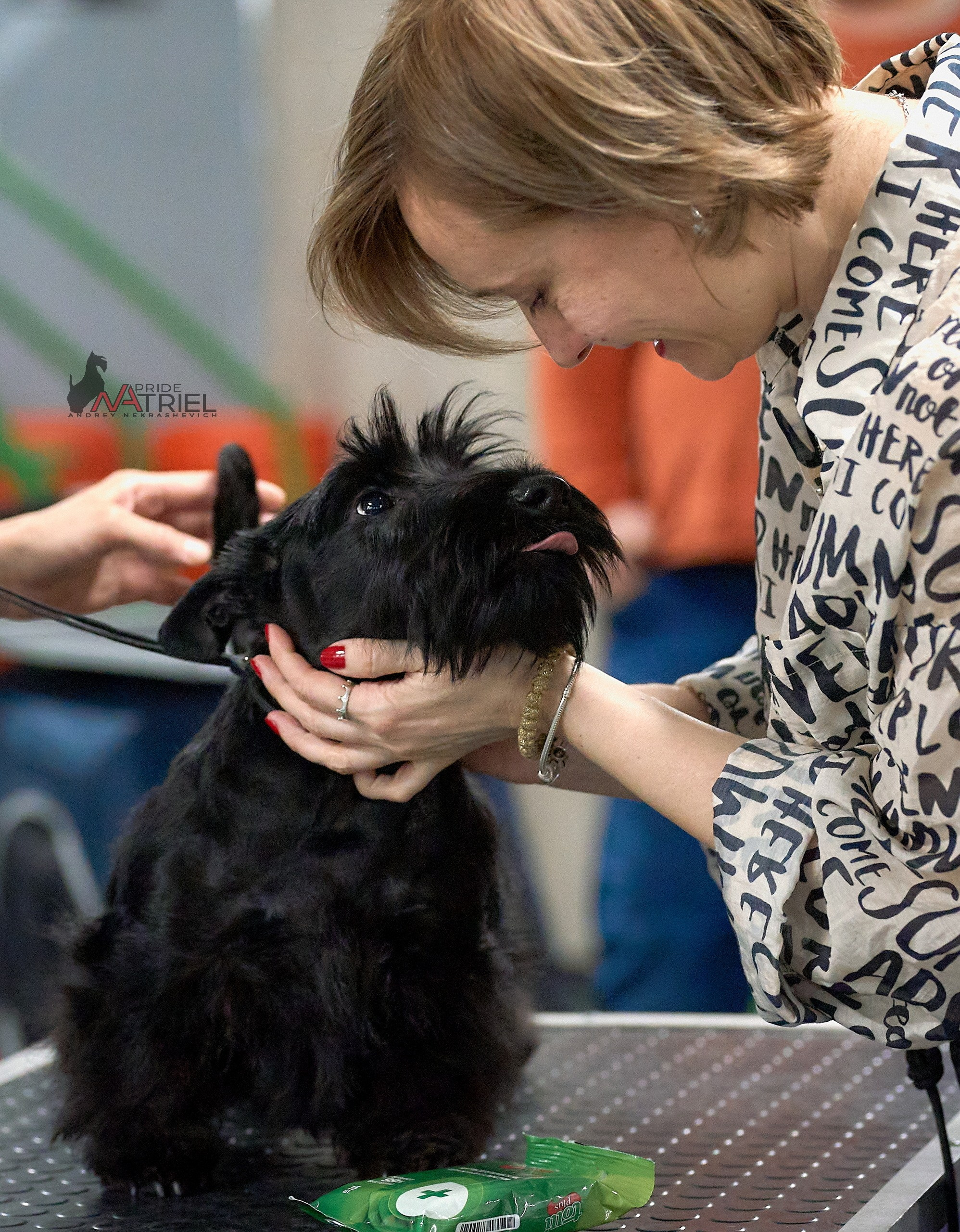 Работа в рингах — галерея NATRIEL