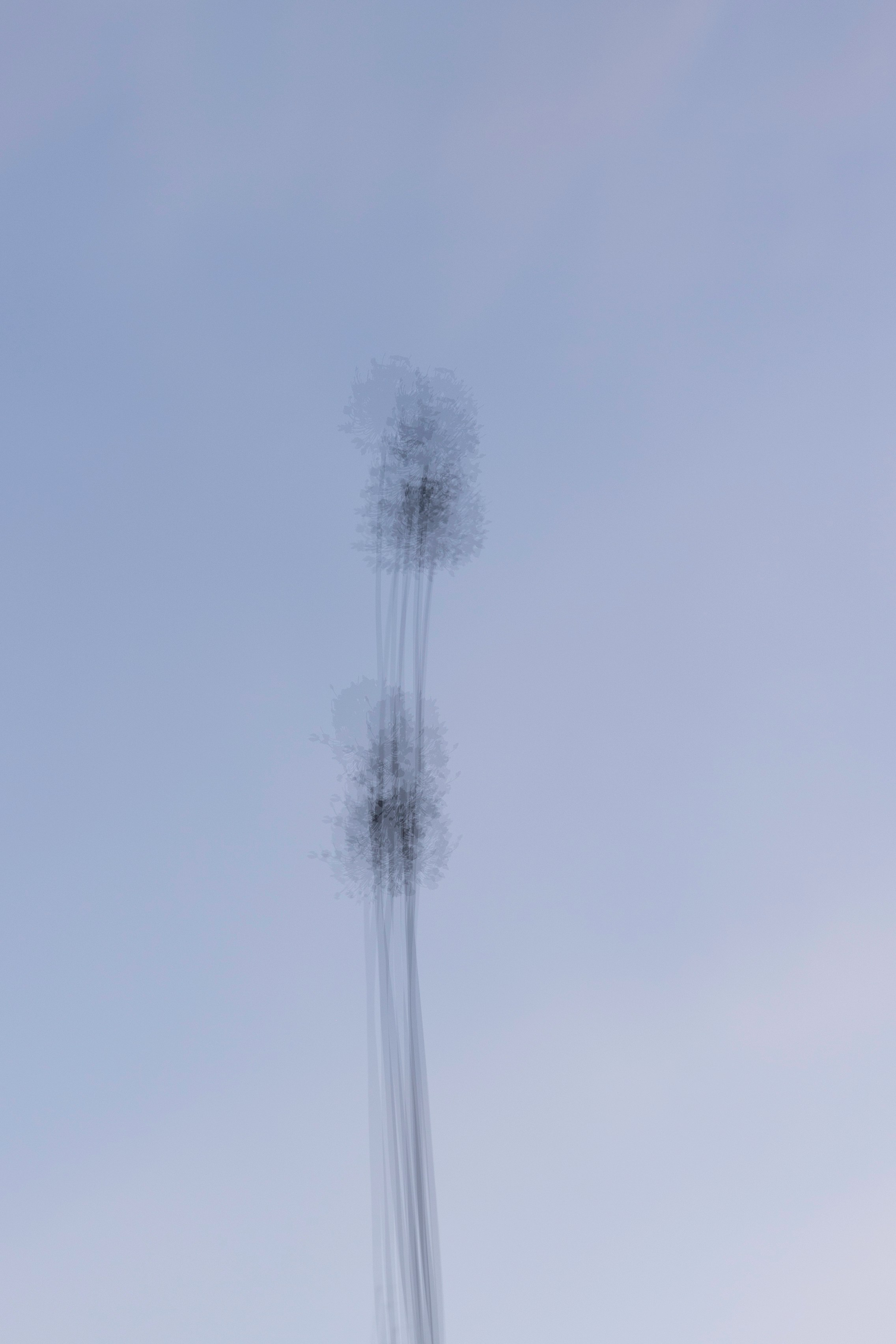 Art prints. Фотограф алина стерхова, алина стерхова фотограф, фотограф москва