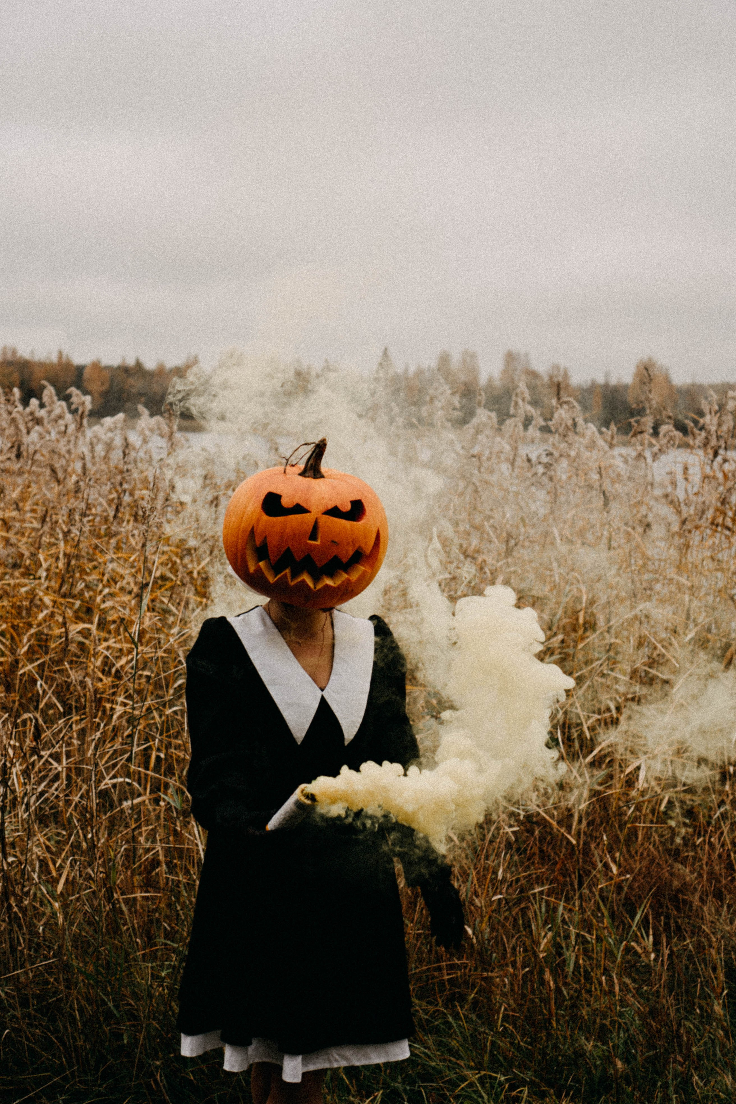 Осеняя. Профессиональный фотограф, Санкт-Петербург — Виктория Богомолова