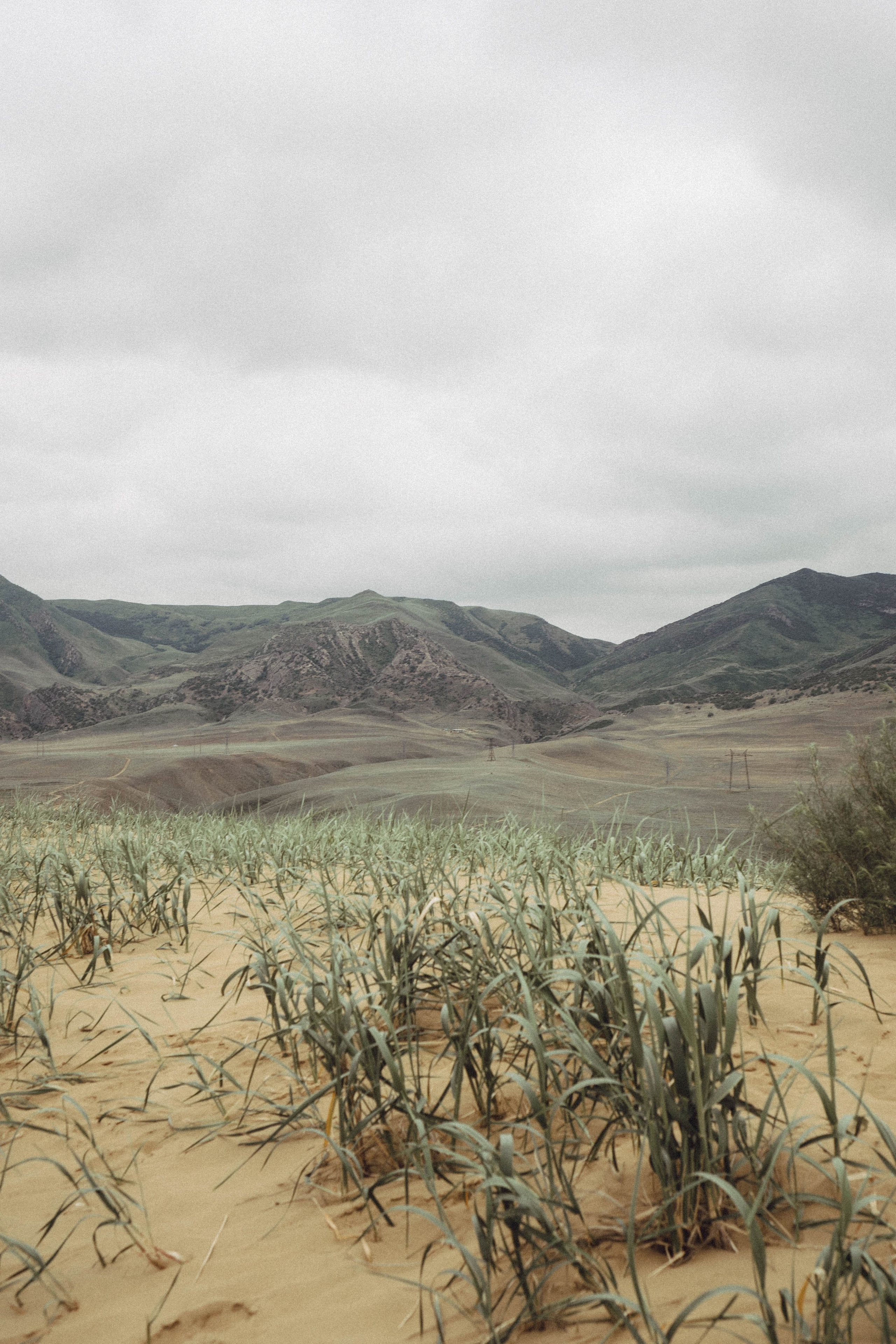 Кавказ. Профессиональный фотограф, Санкт-Петербург — Виктория Богомолова