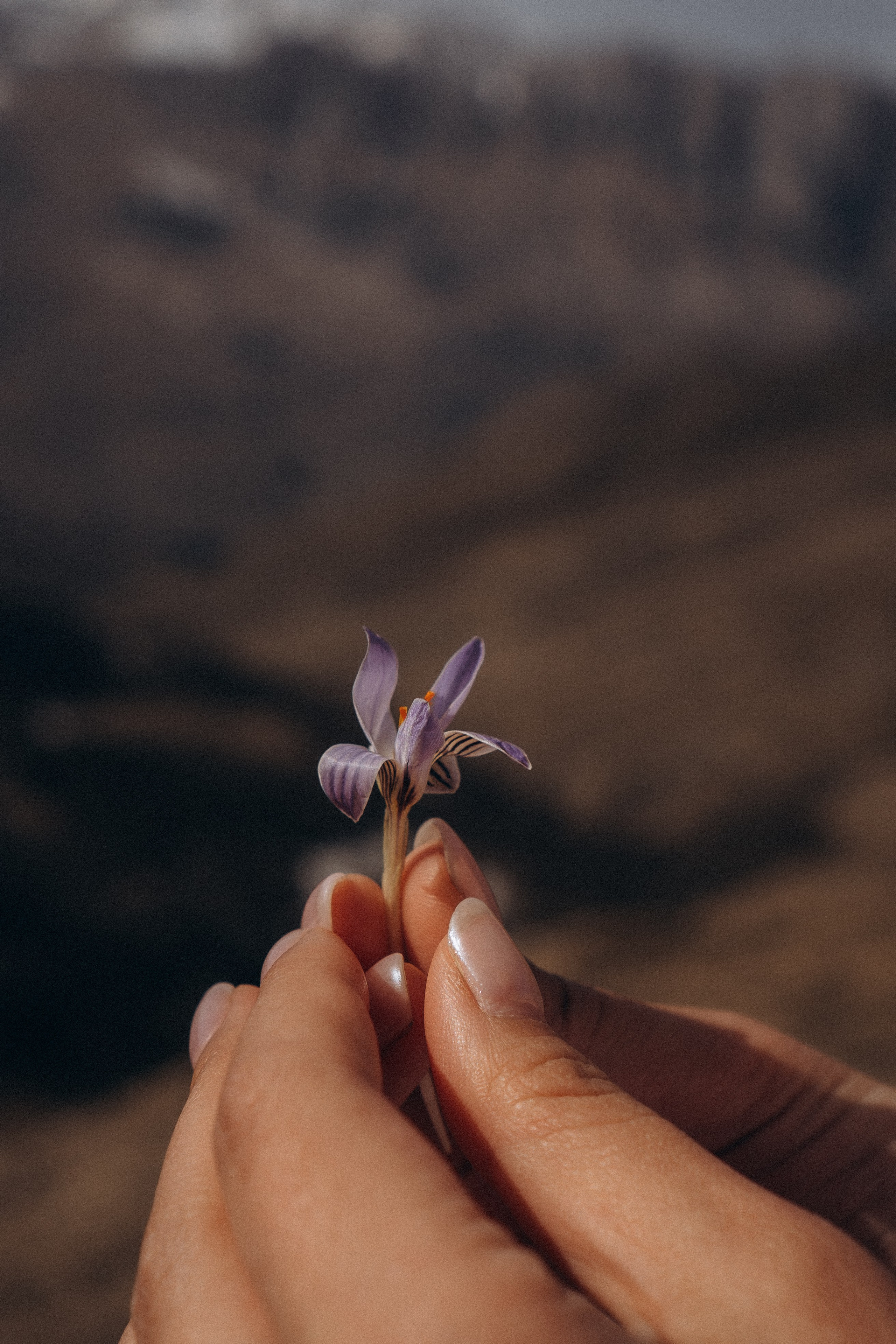 ОСЕТИЯ. Профессиональный фотограф, Санкт-Петербург — Виктория Богомолова