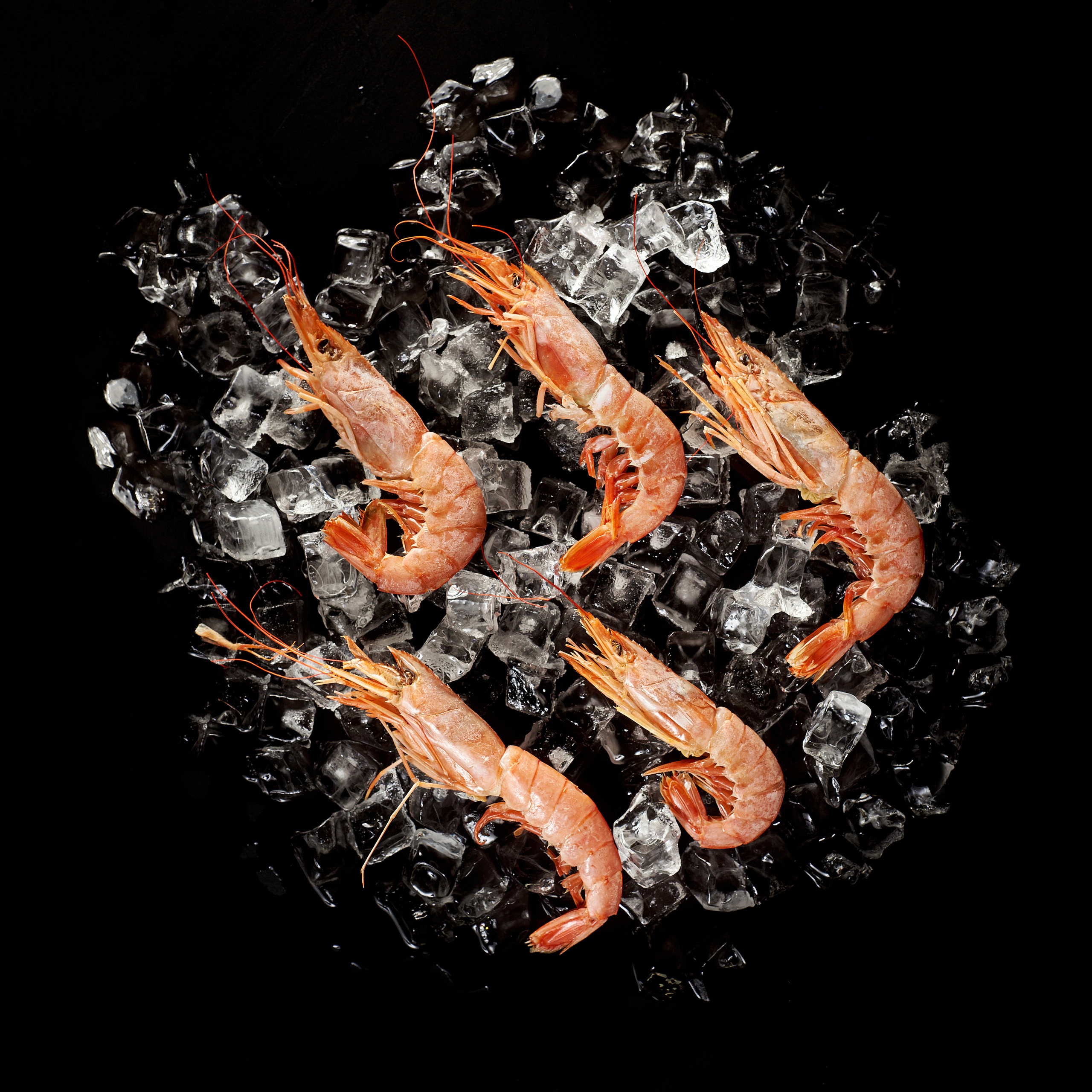 Примеры работ для рекламы и SMM. Рекламный и фуд фотограф в Красноярске Дмитрий Снег