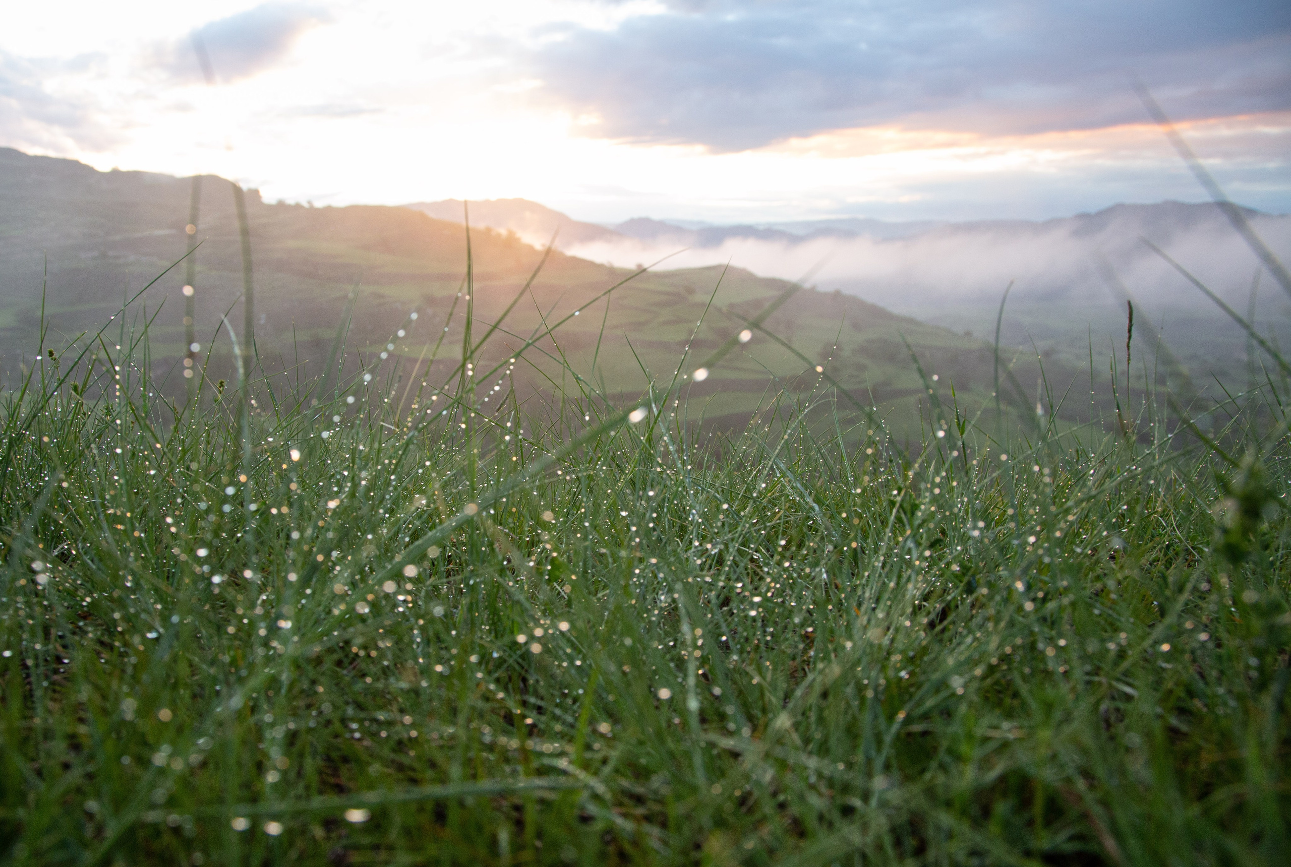 Россия. Северный Кавказ. Добродеева Алла фотограф, Москва