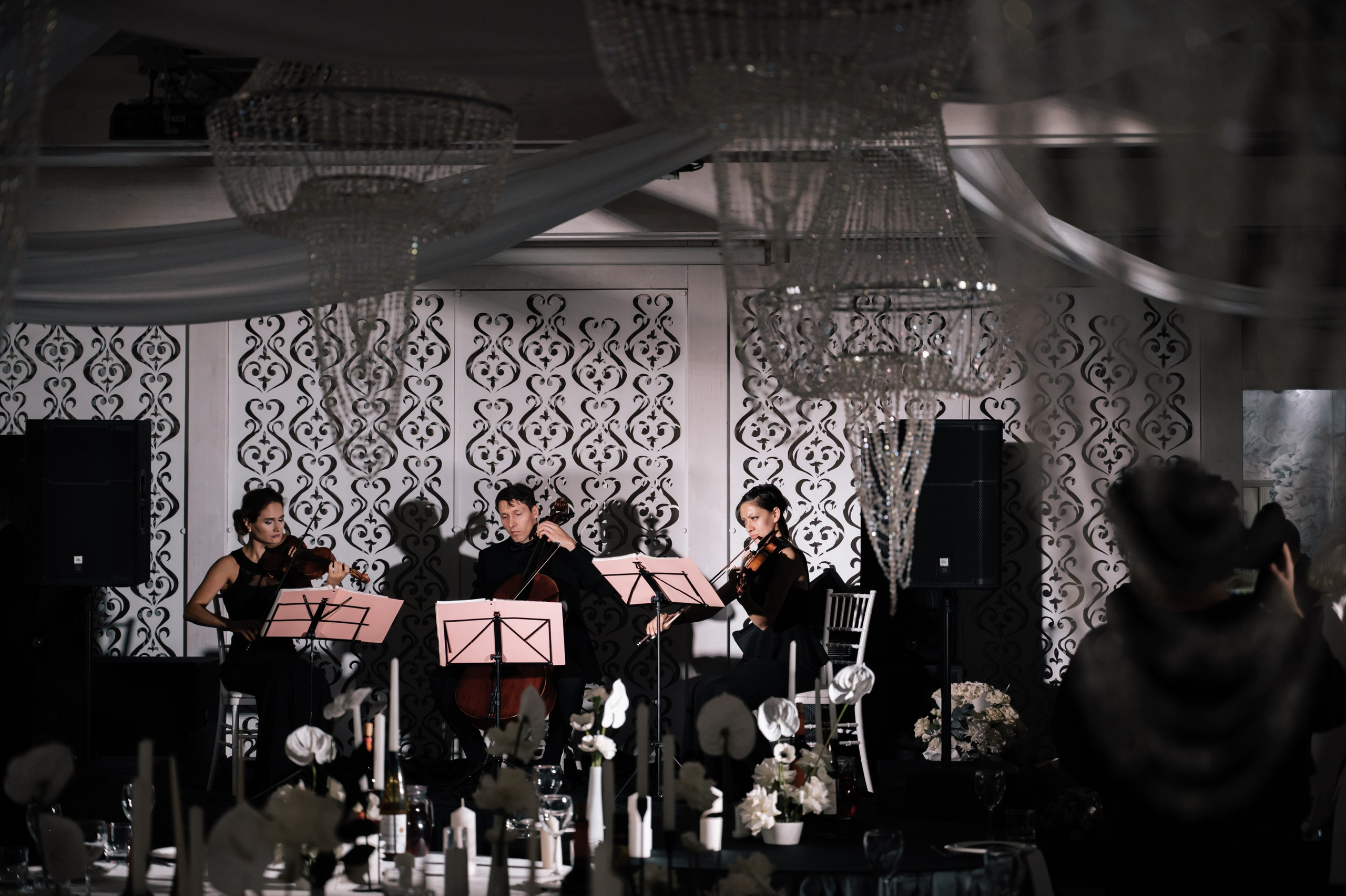 Sabina and Dmitry. Свадебный и семейный фотограф Вероника Холод