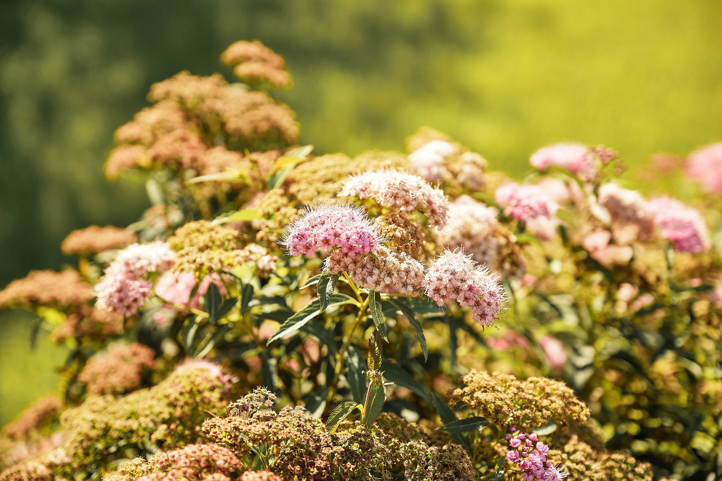 Дмитрий и Ирина. Профессиональный фотограф в Екатеринбурге Юра Сахар