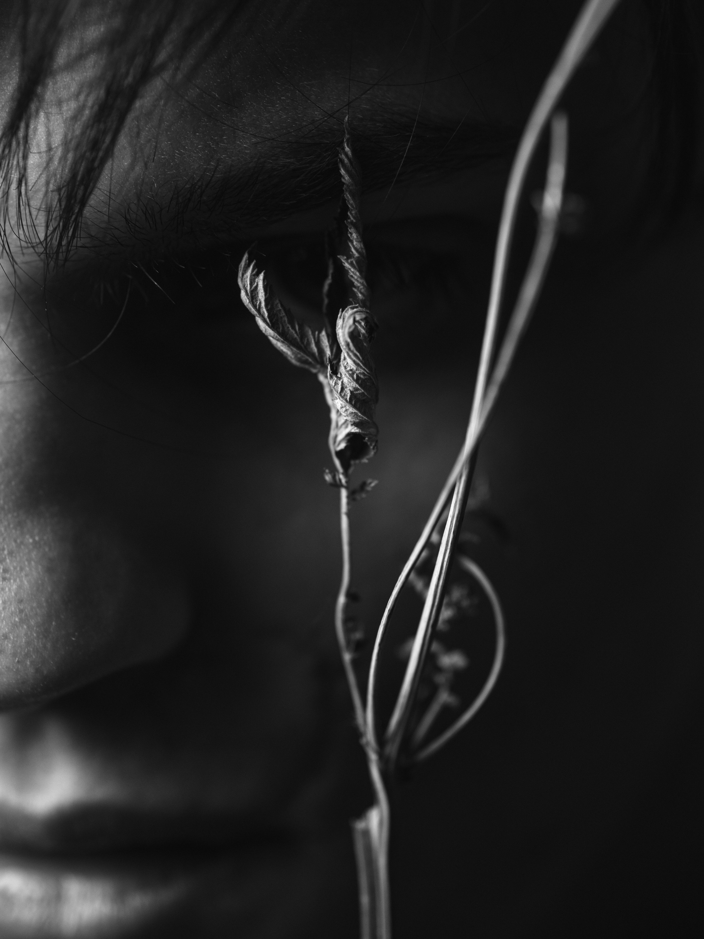 Александр. Branch. Фотограф Юлия Глазкова