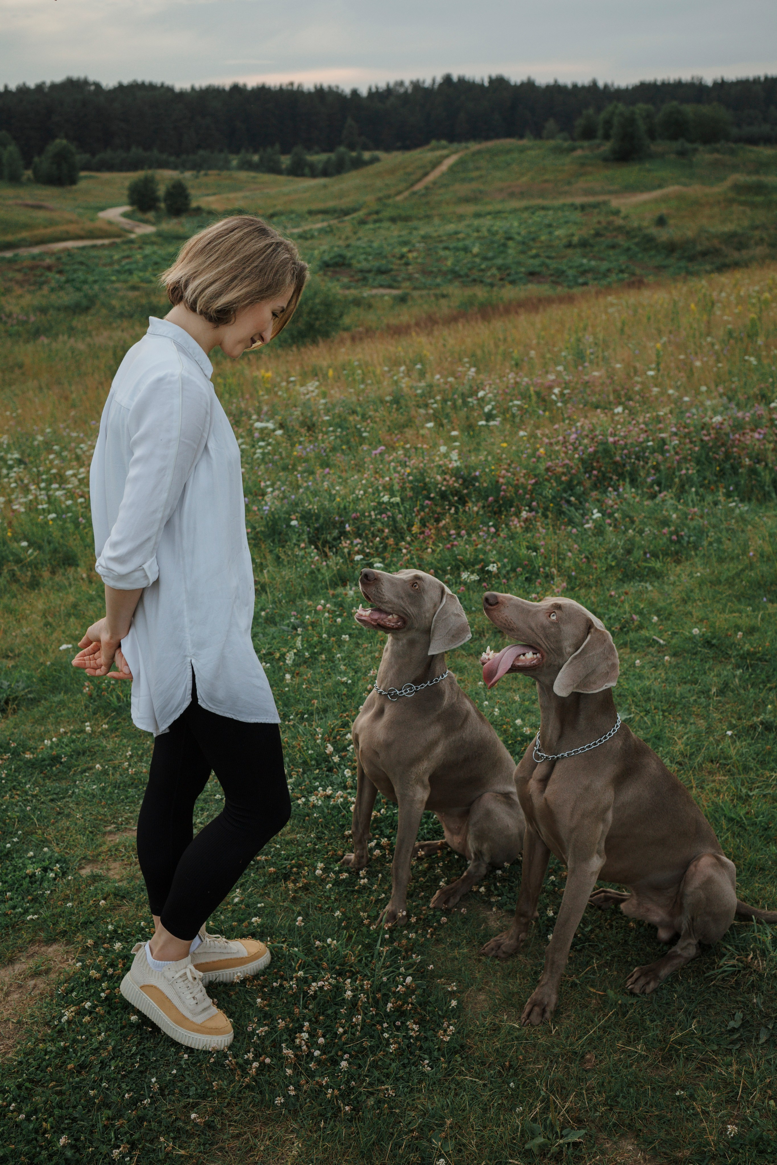 Маргарита и веймаранеры. Фотограф-анималист в Санкт-Петеребурге Титова Алиса