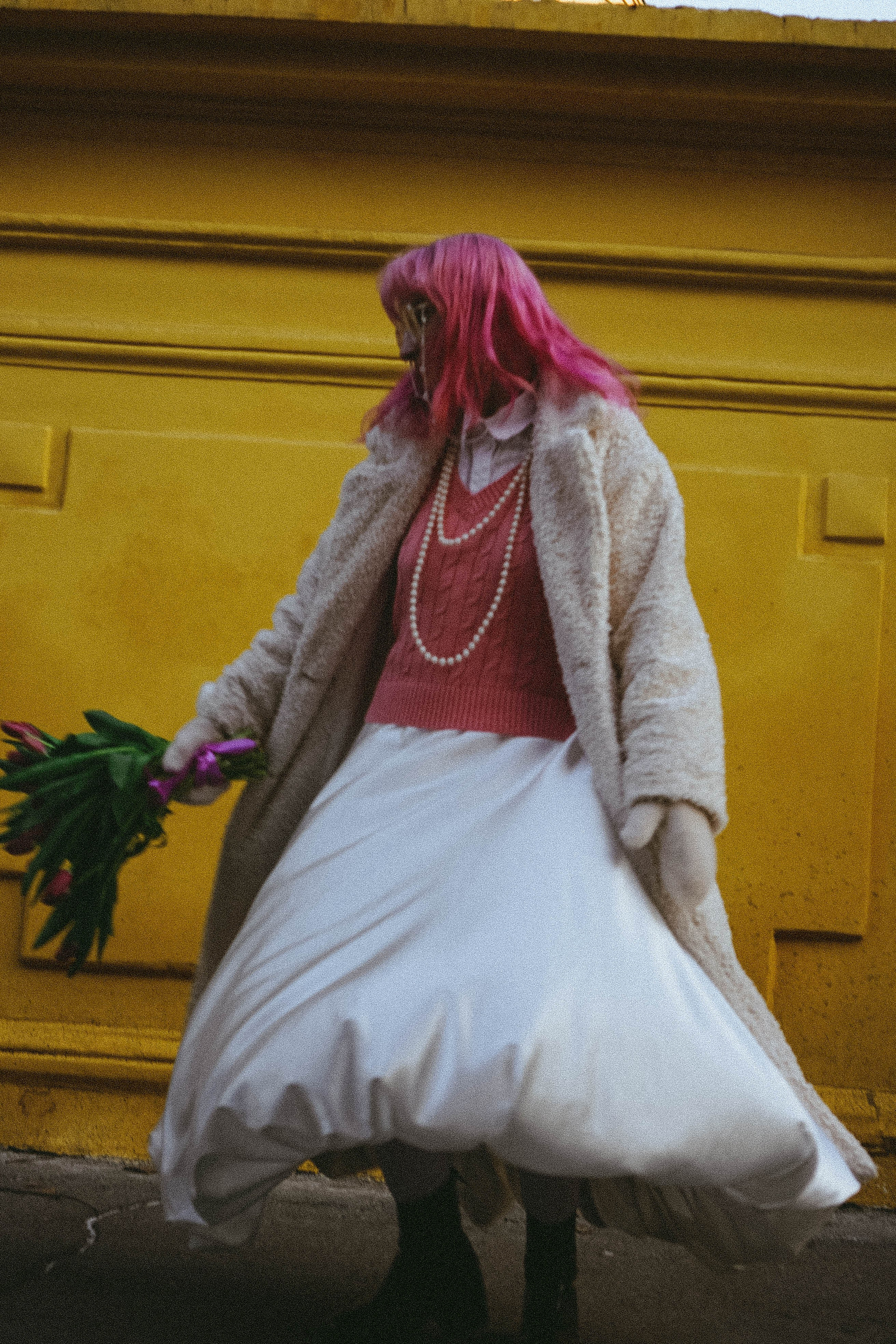 Тюльпаны. Профессиональный фотограф, Санкт-Петербург — Виктория Богомолова