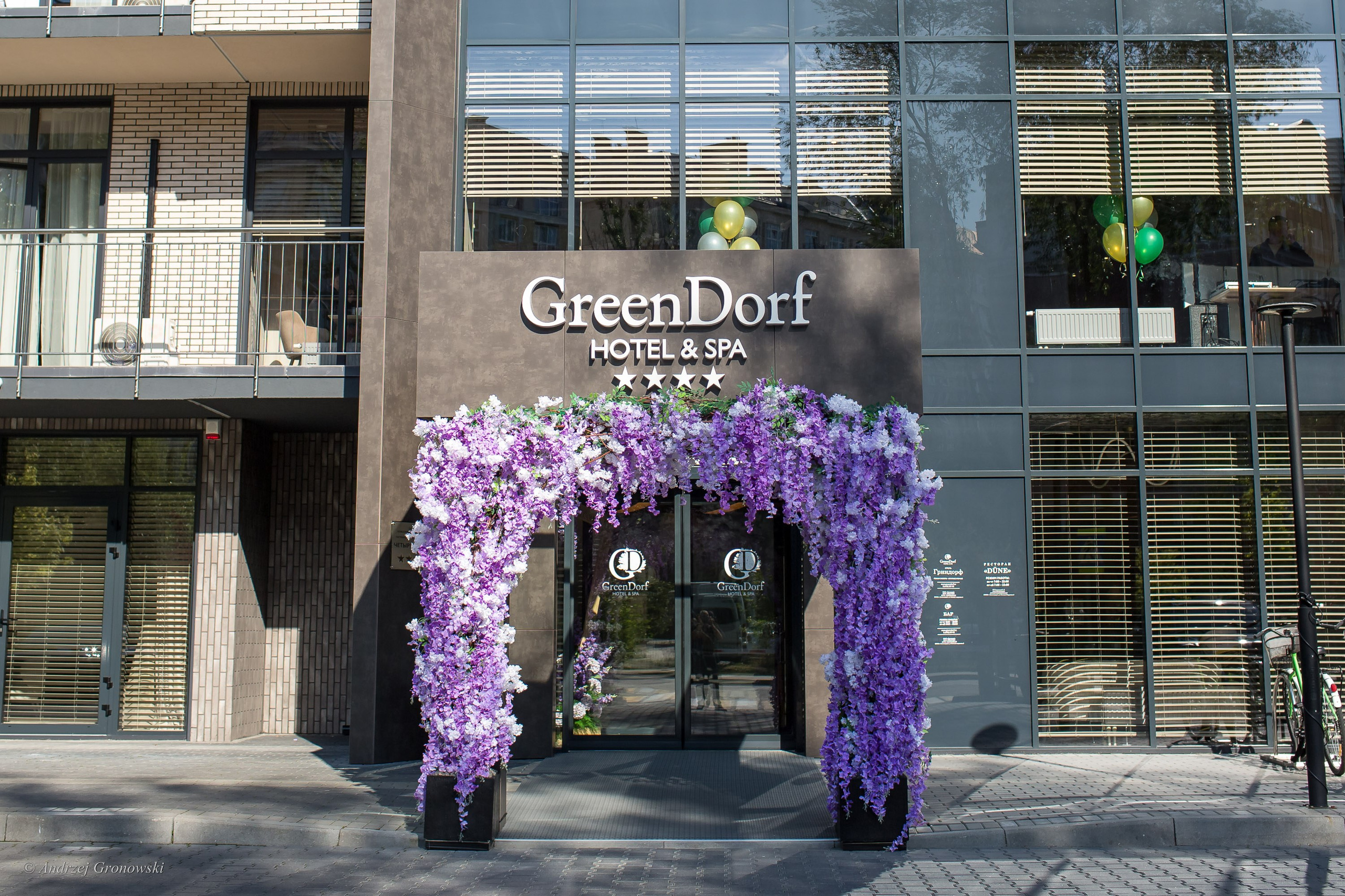 Green Dorf. A. Гроновски —Портретный женский фотограф в Калининграде| Портреты, НЮ, Репортажи