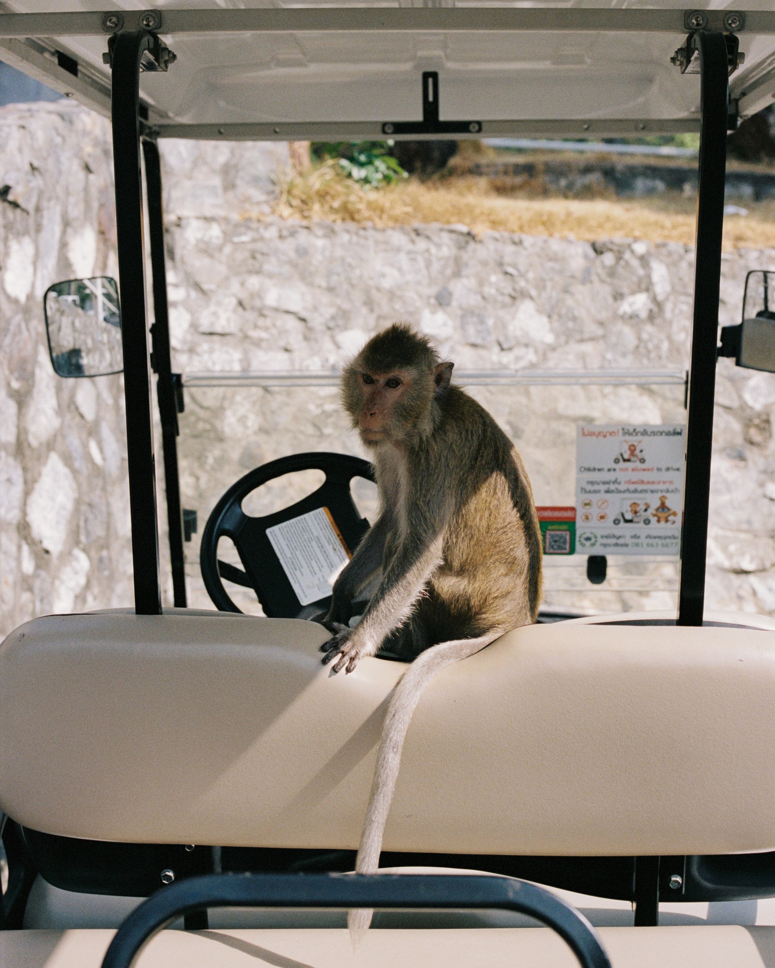 Thailand. Kirill Shashkov