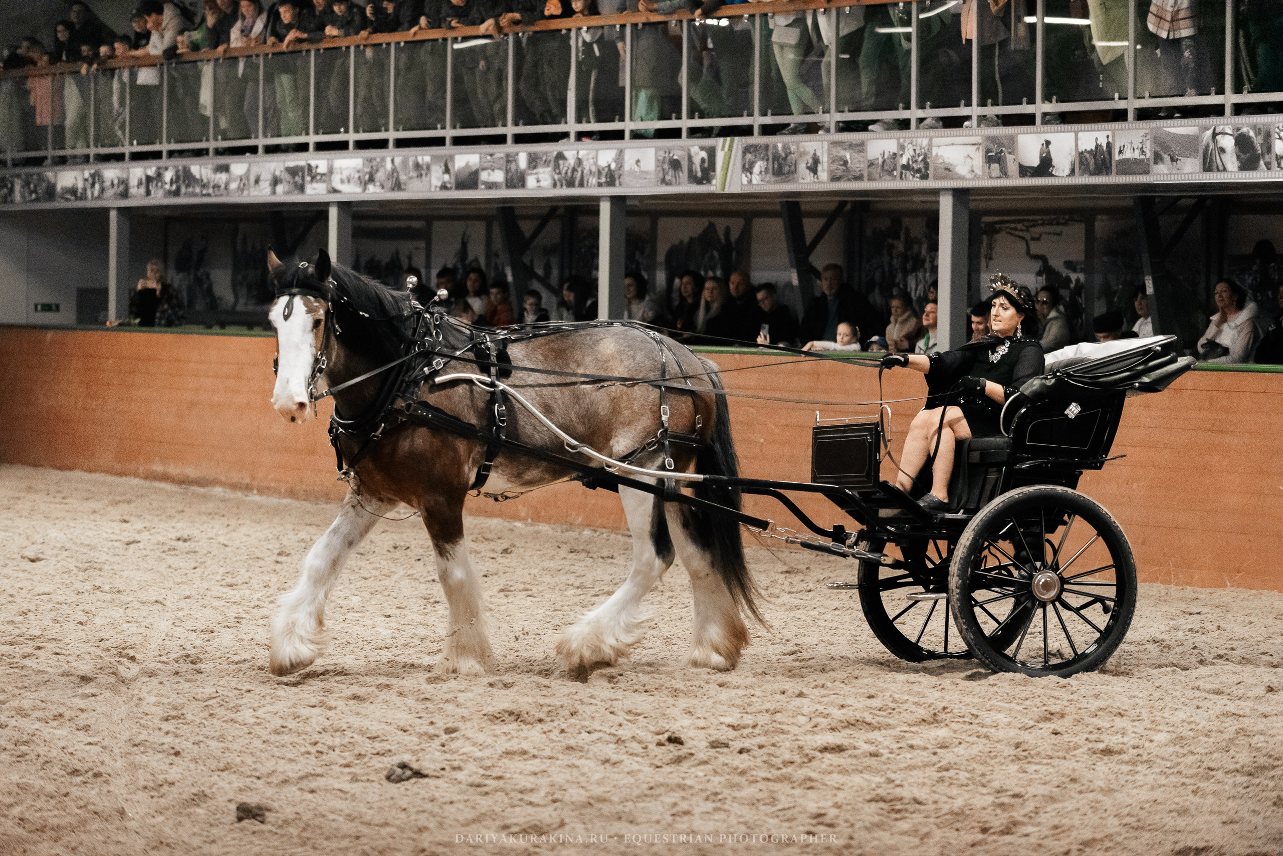 Конное представление «Дыхание Звёзд». Конный фотограф Куракина Дарья • Фотосессии с лошадьми