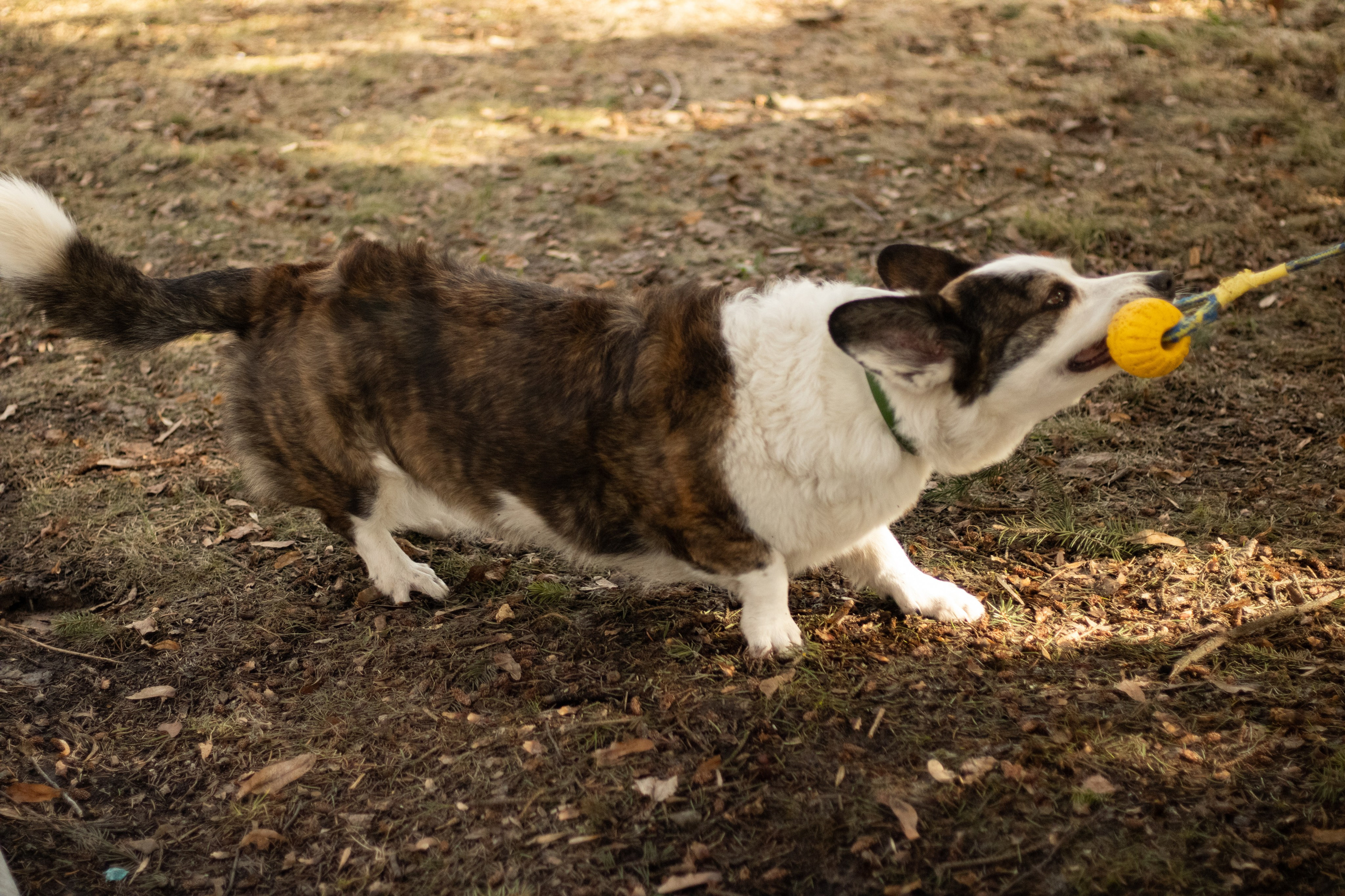 Юлия и Тэя. Катя Попова|ЛайфСтайл фотограф