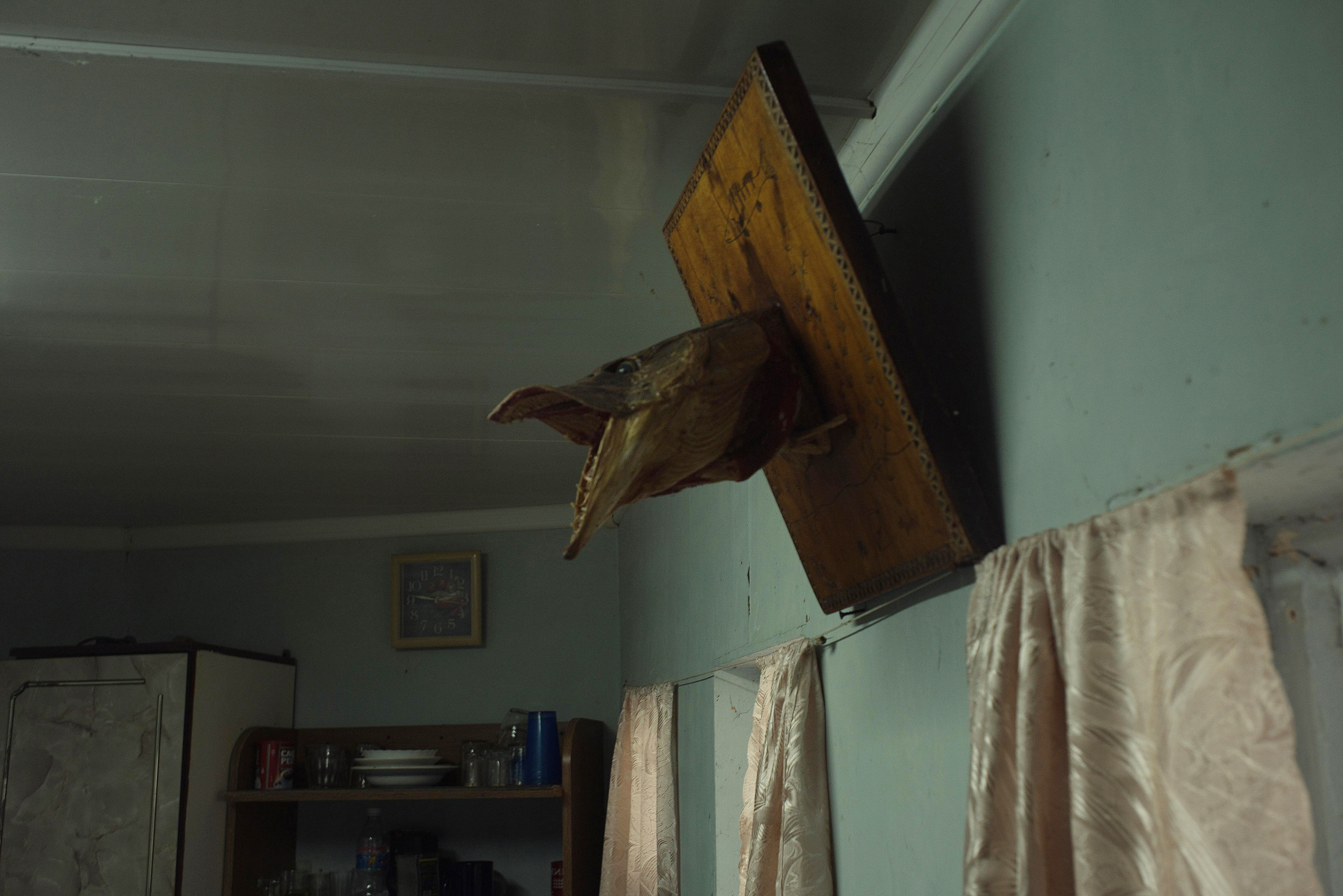 Fish Not Rising. Dmitry Ermakov. Documentary photographer