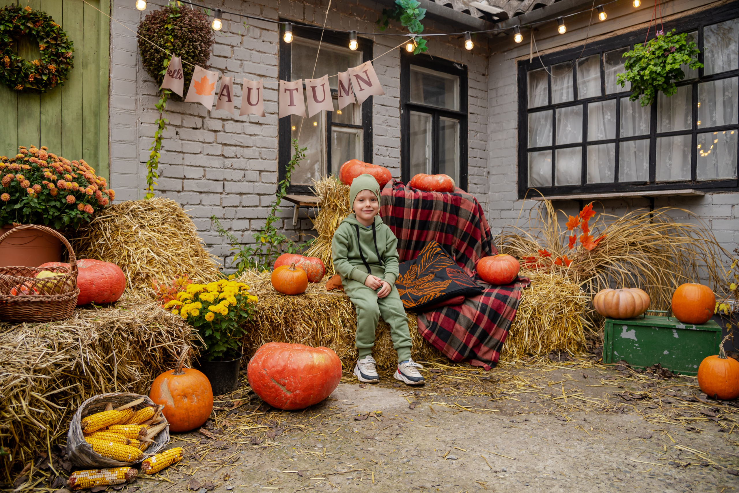 Авакадо. Фотограф Галина Нестерова