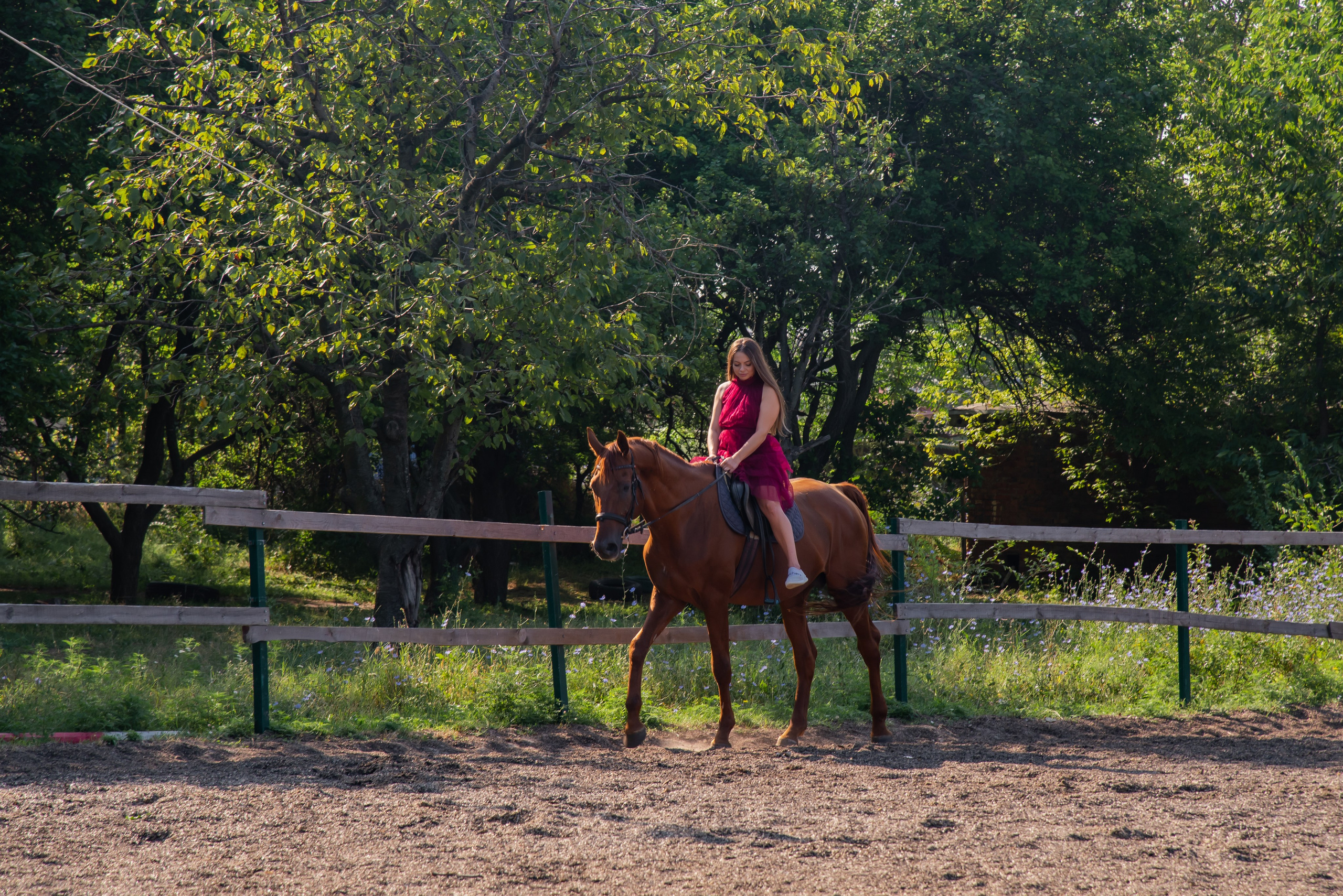 Конная прогулка. Фотограф Галина Нестерова