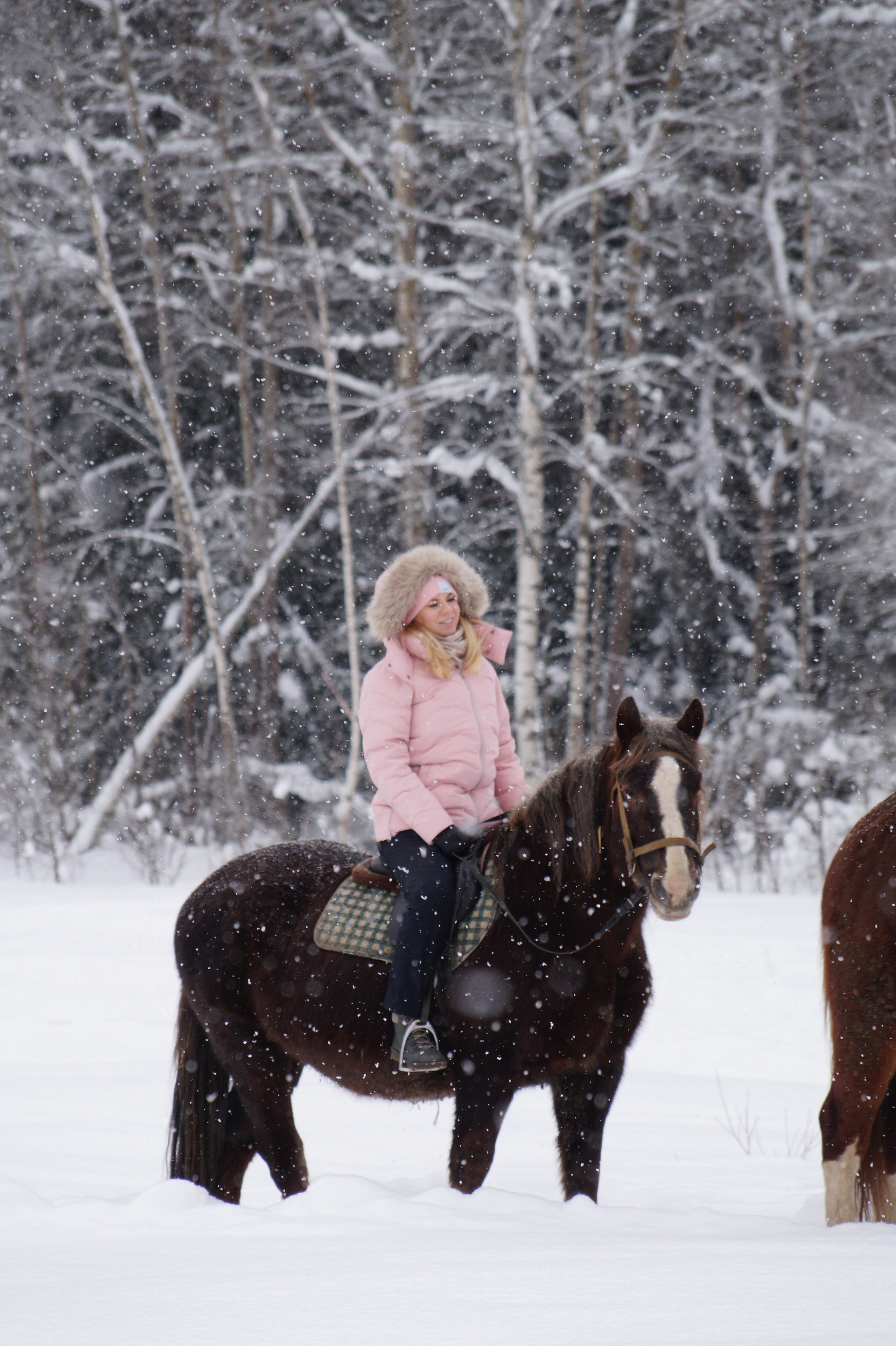 Лошадинг | 11.01.2026. Галерея Фантим