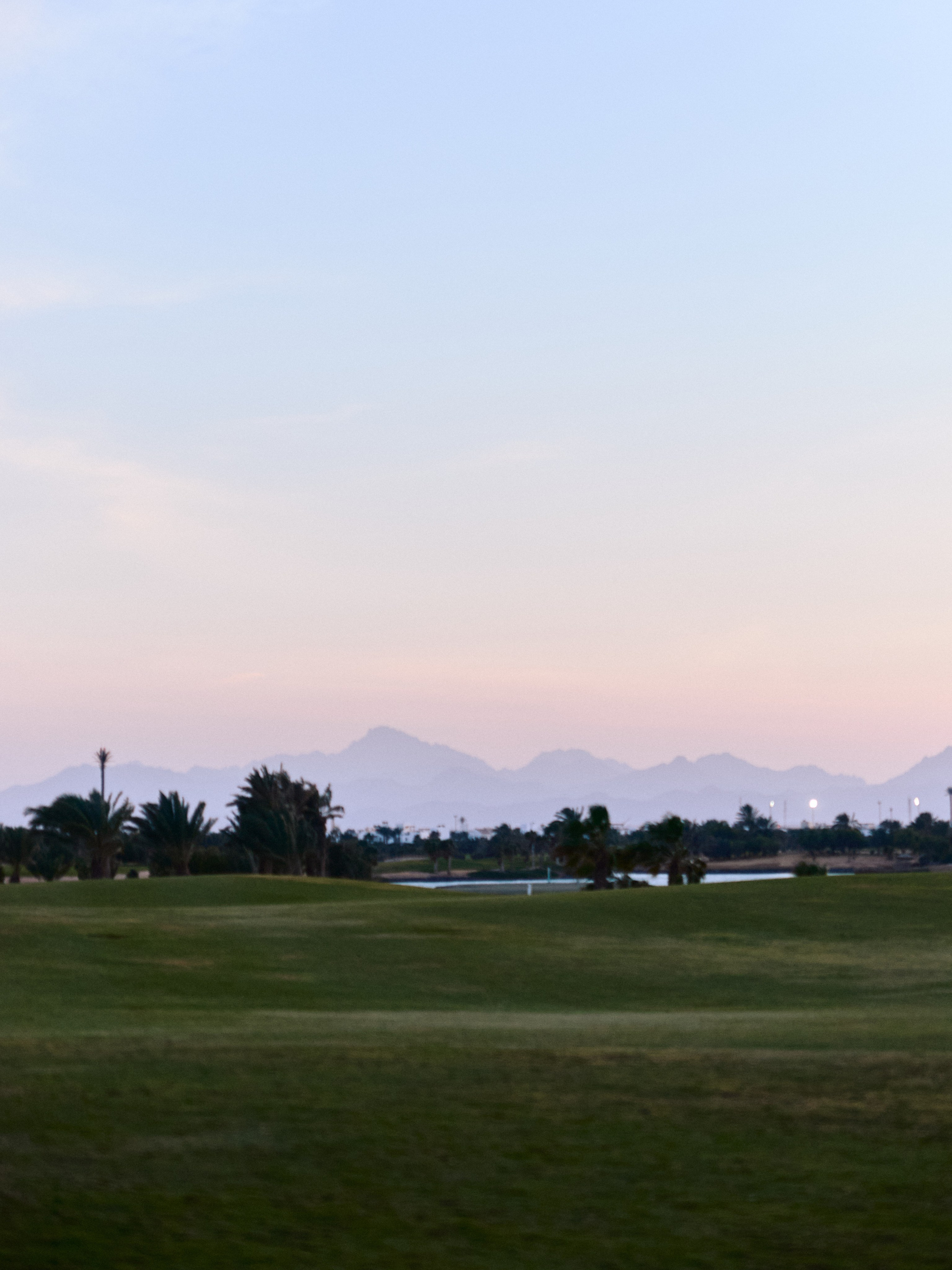 Природа сквозь. Jorgis Talè — photographer, kind person, teacher of arts and other mag