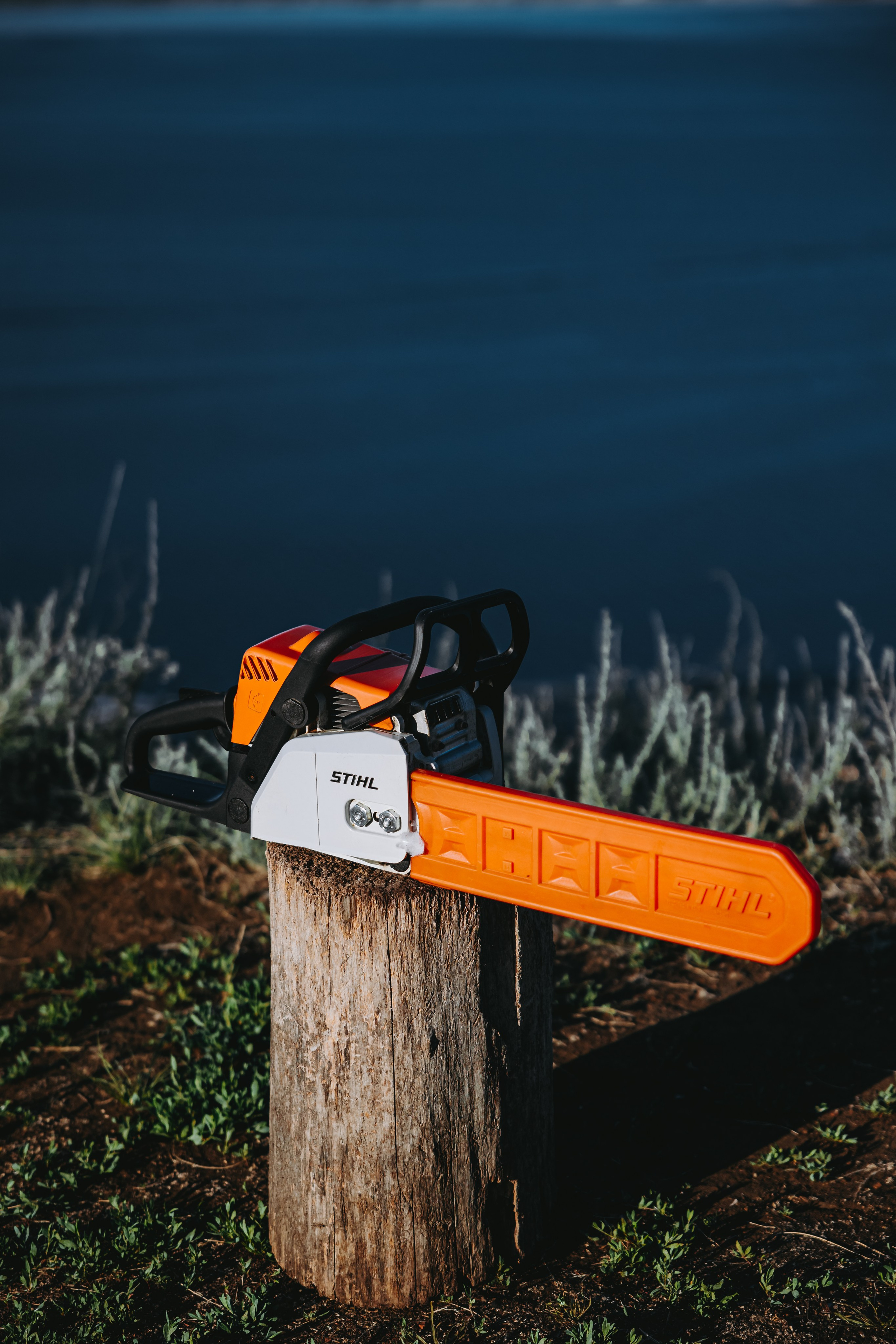 Глеб и Нильс. Фотограф в Саратове Александр Кухаренко. И не только в Саратове :)