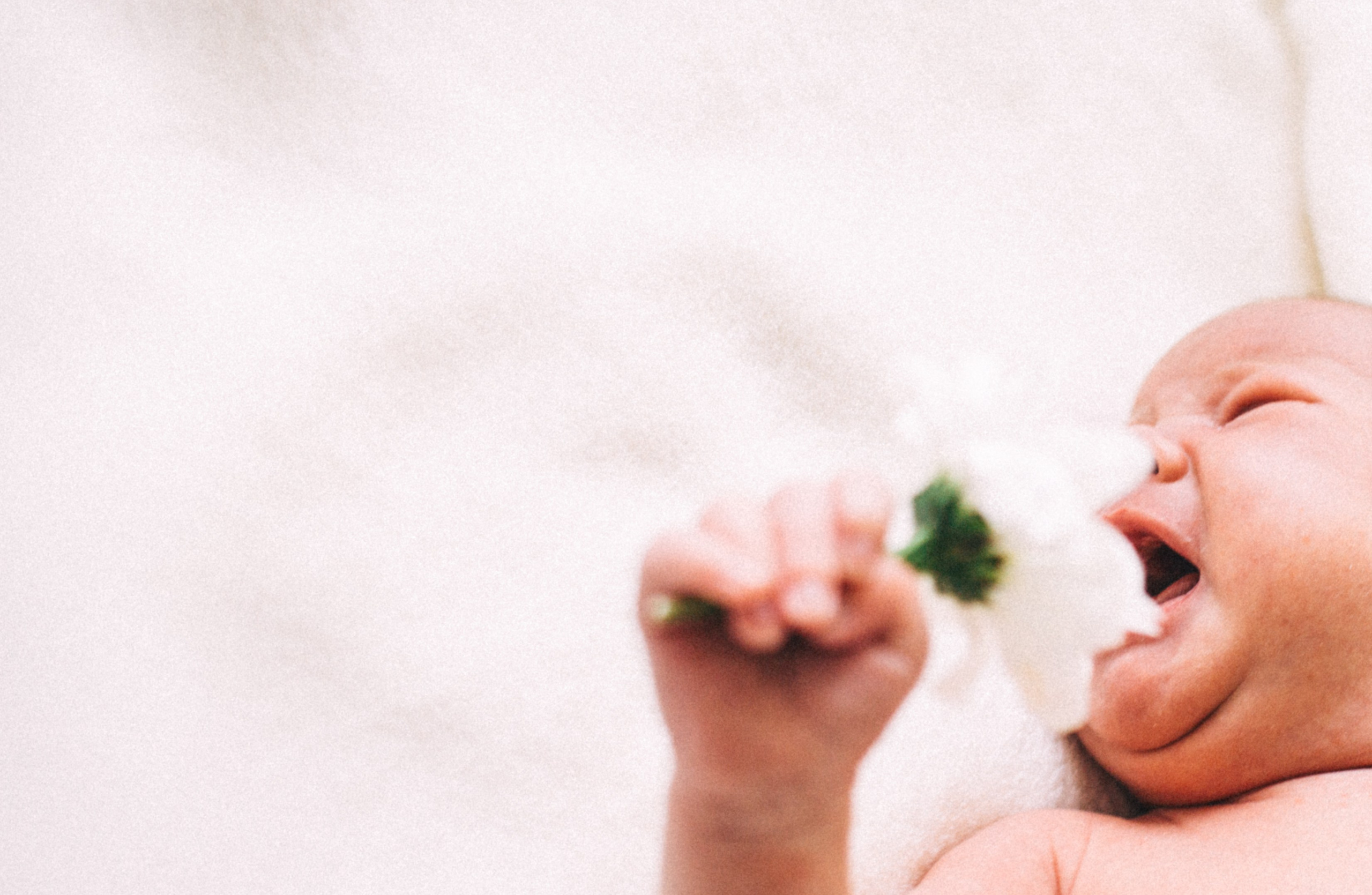 Пупсики. Фотограф в Нижнем Новгороде