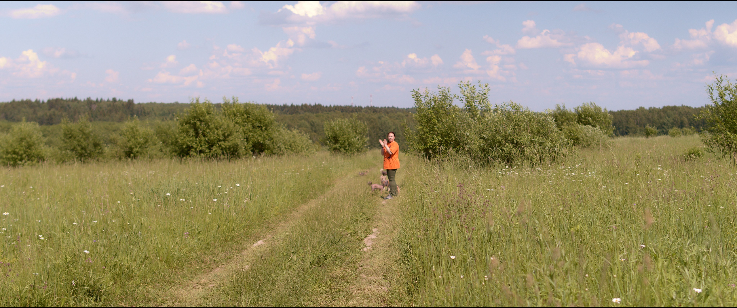 Footage from the interview. Poale Ell Chinese Crested Dog Kennel: Buy a puppy from the kennel