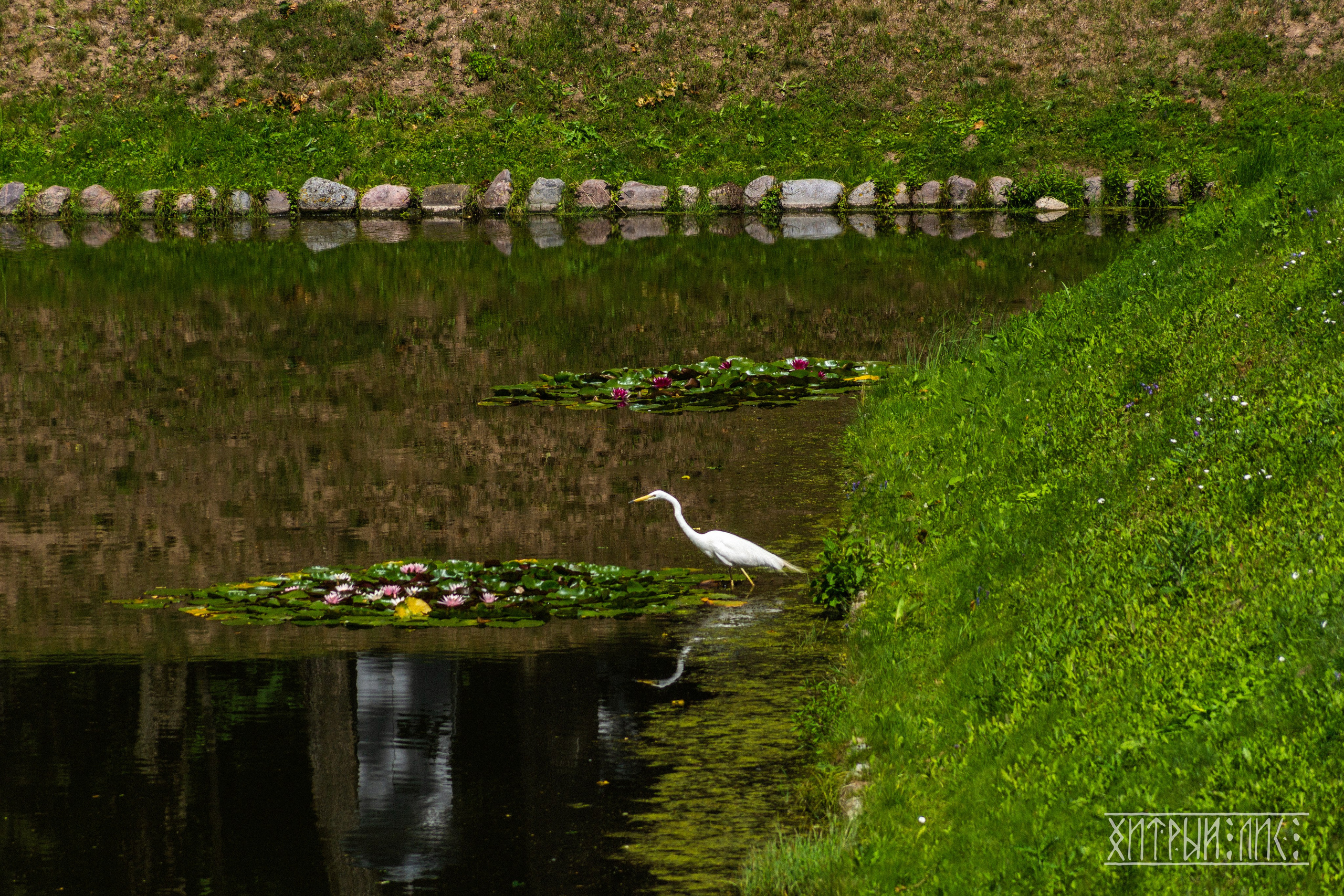 Беларусь. Фотограф-путешественник Самойлов Максим «Sly Fox»