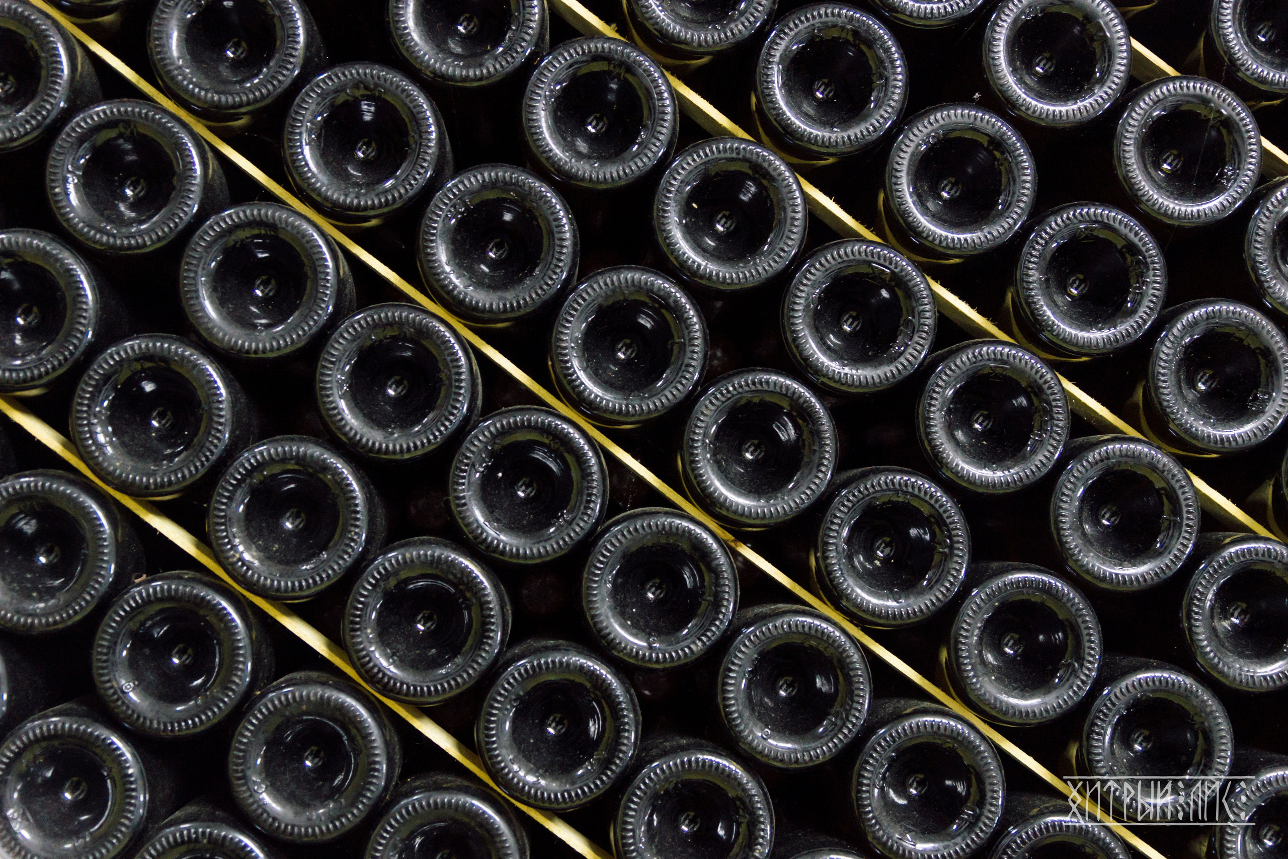 Крым. Фотограф-путешественник Самойлов Максим «Sly Fox»