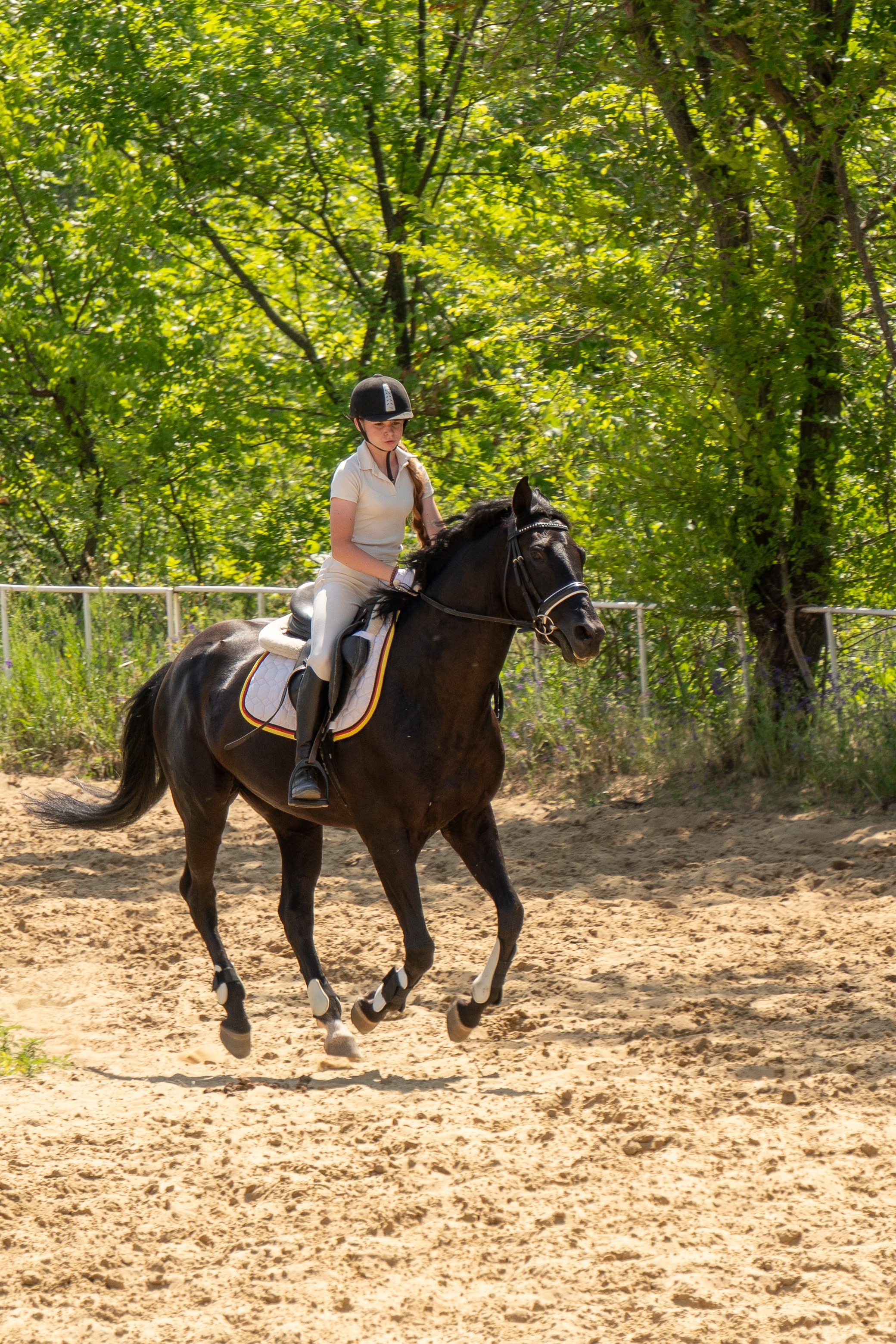Соревнования по конкуру, Луганск. Фотограф в РФ и ЛНР Юлия Федосеева