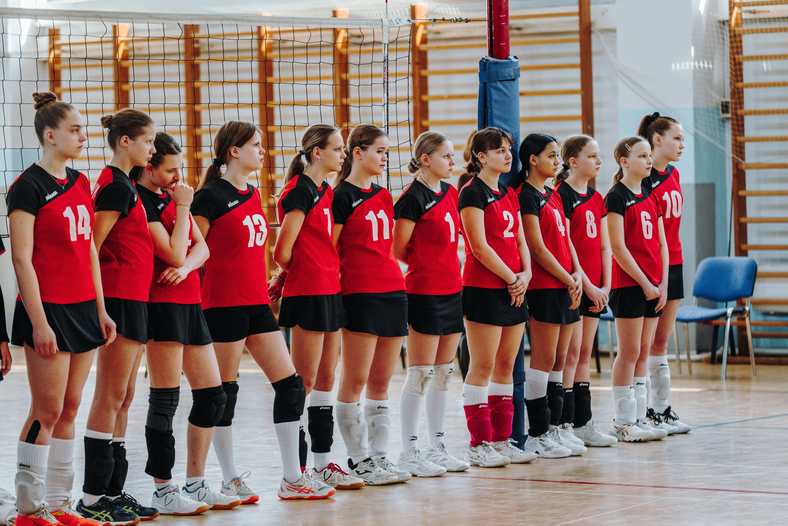 Волейбол торус. Фотограф-анималист в Санкт-Петербурге