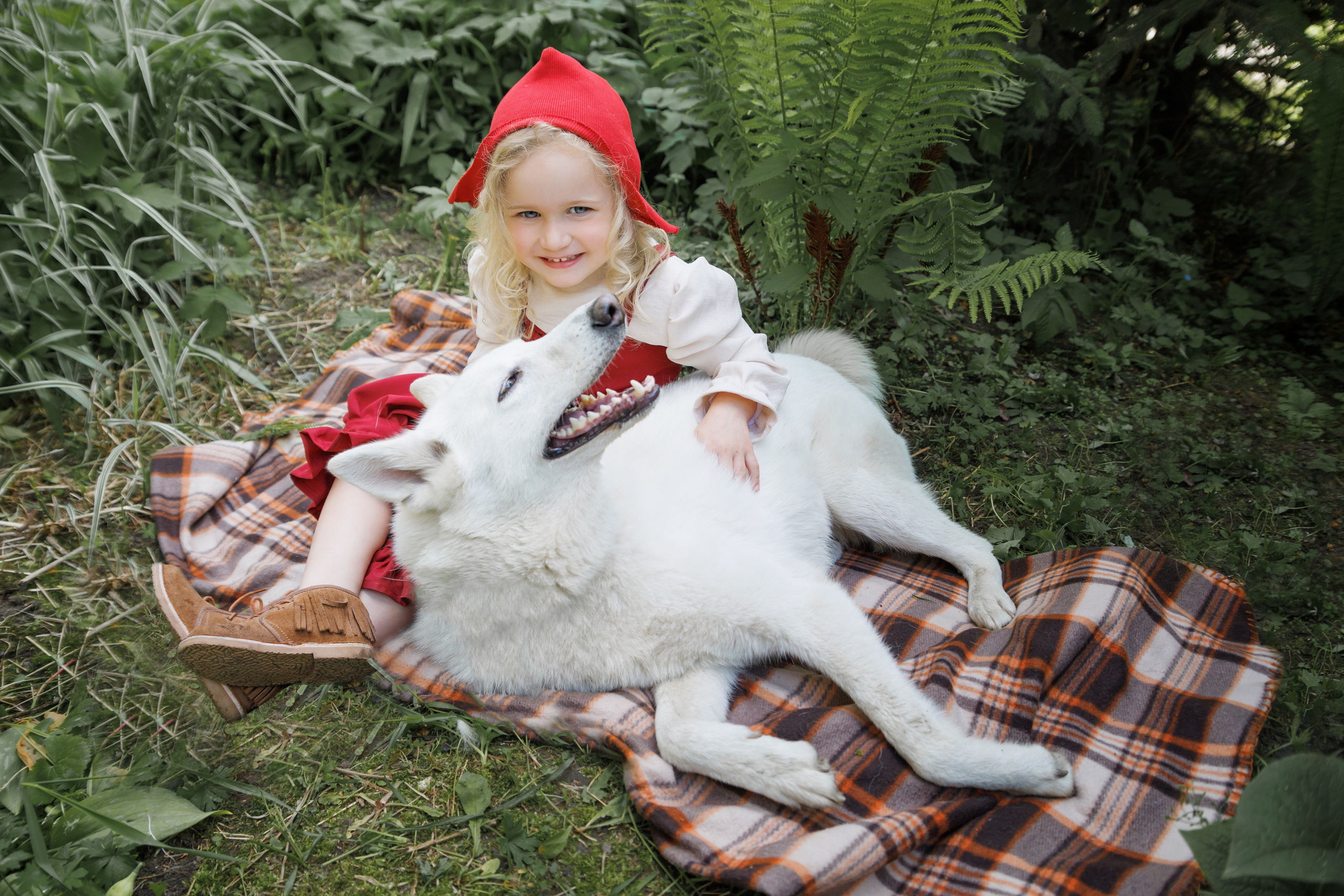 Красная шапочка. Детский и семейный фотограф в Бердске и Новосибирске Дарья Гребнева