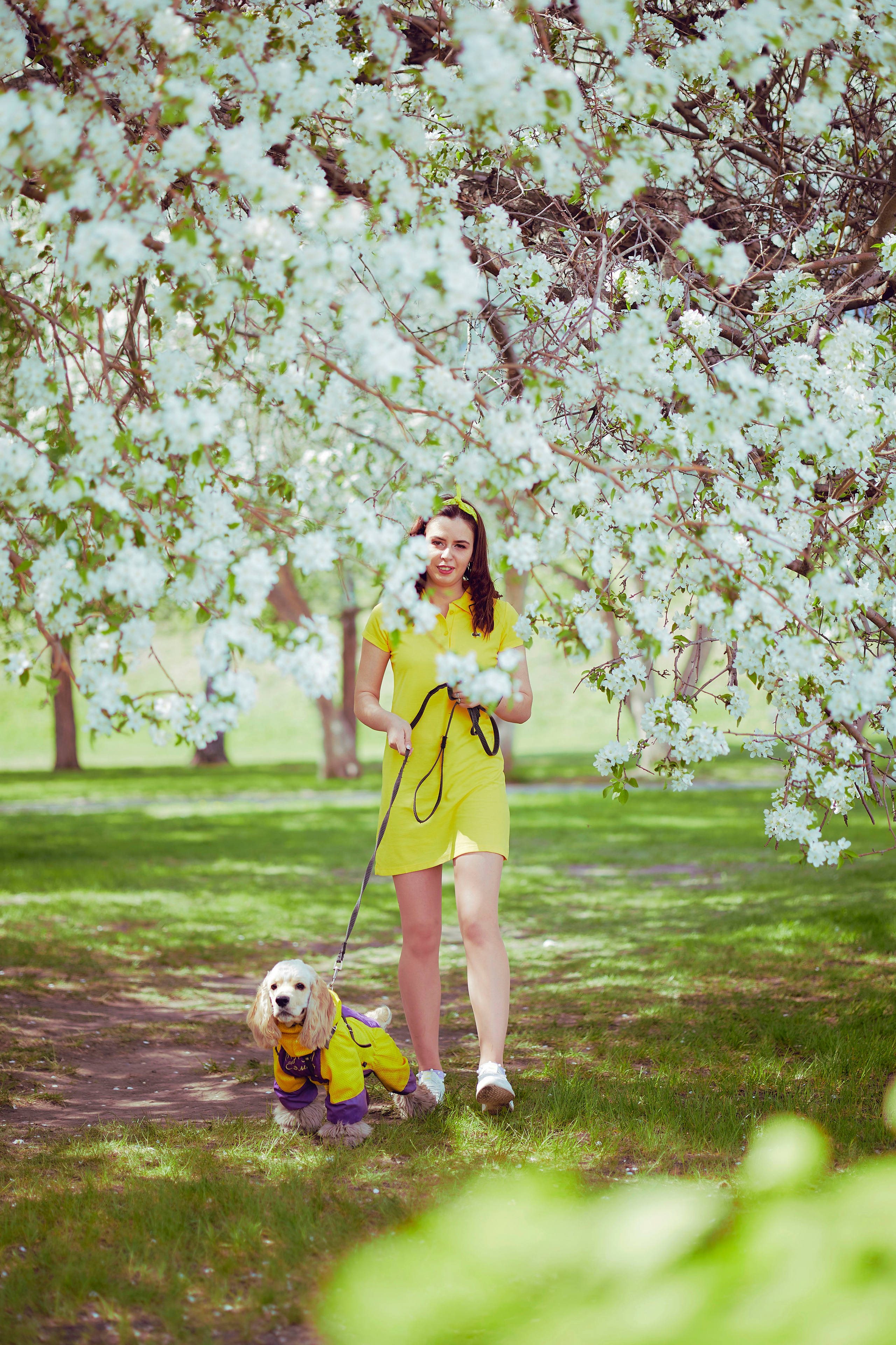 Фото с яблонями. Фотограф Иван Кузьмин на любое Ваше мероприятие