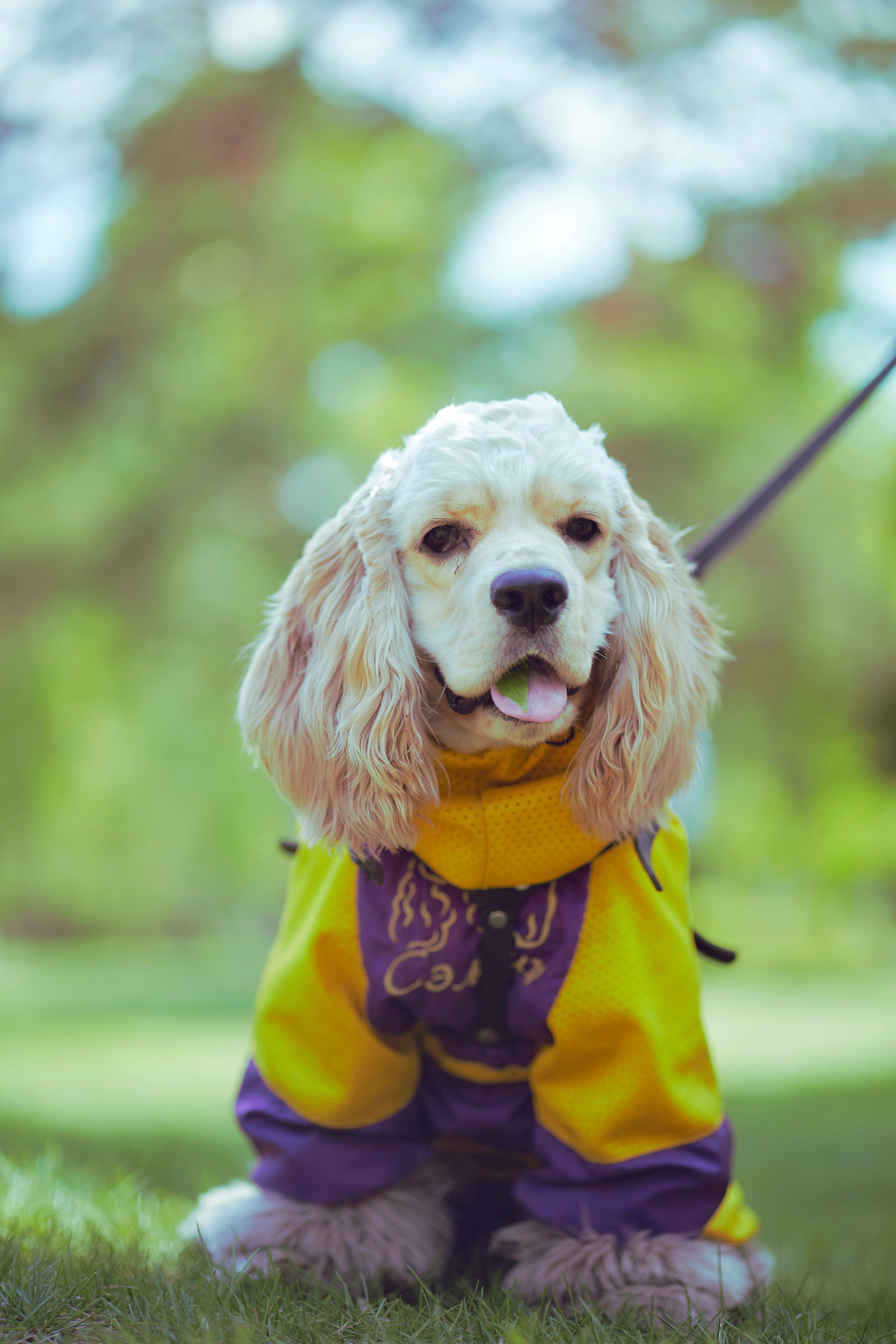 Фото с яблонями. Фотограф Иван Кузьмин на любое Ваше мероприятие