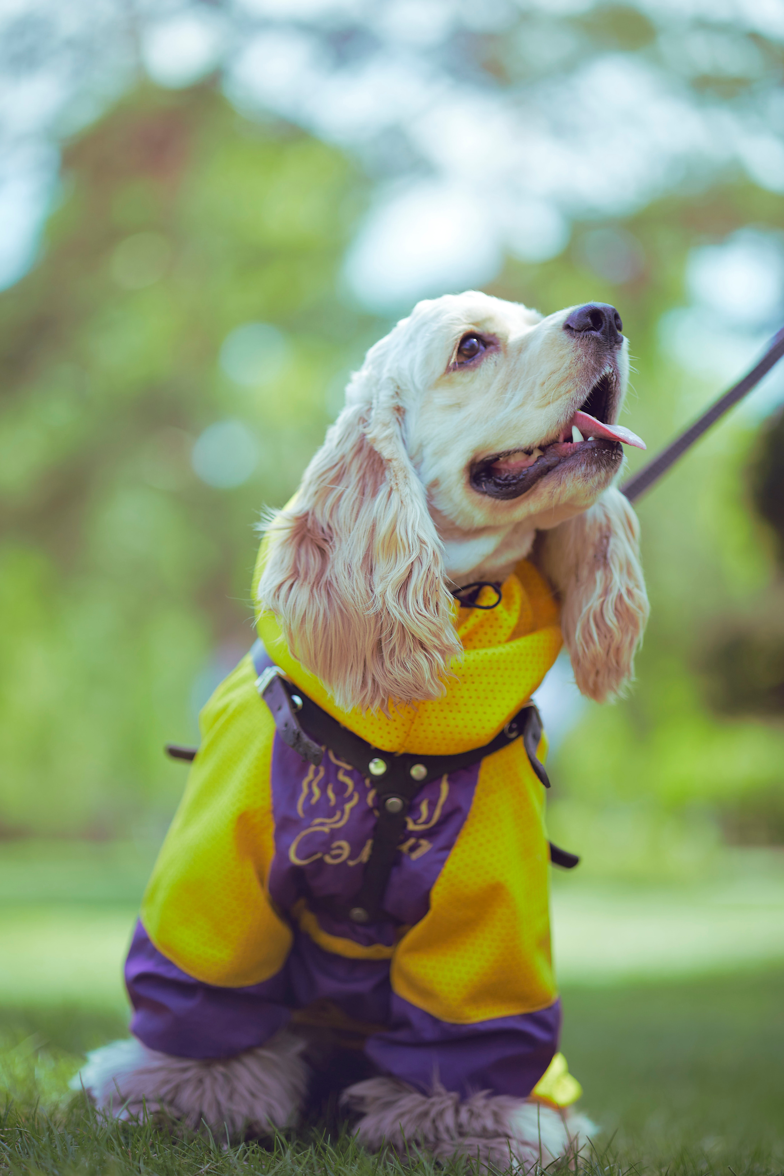 Фото с яблонями. Фотограф Иван Кузьмин на любое Ваше мероприятие