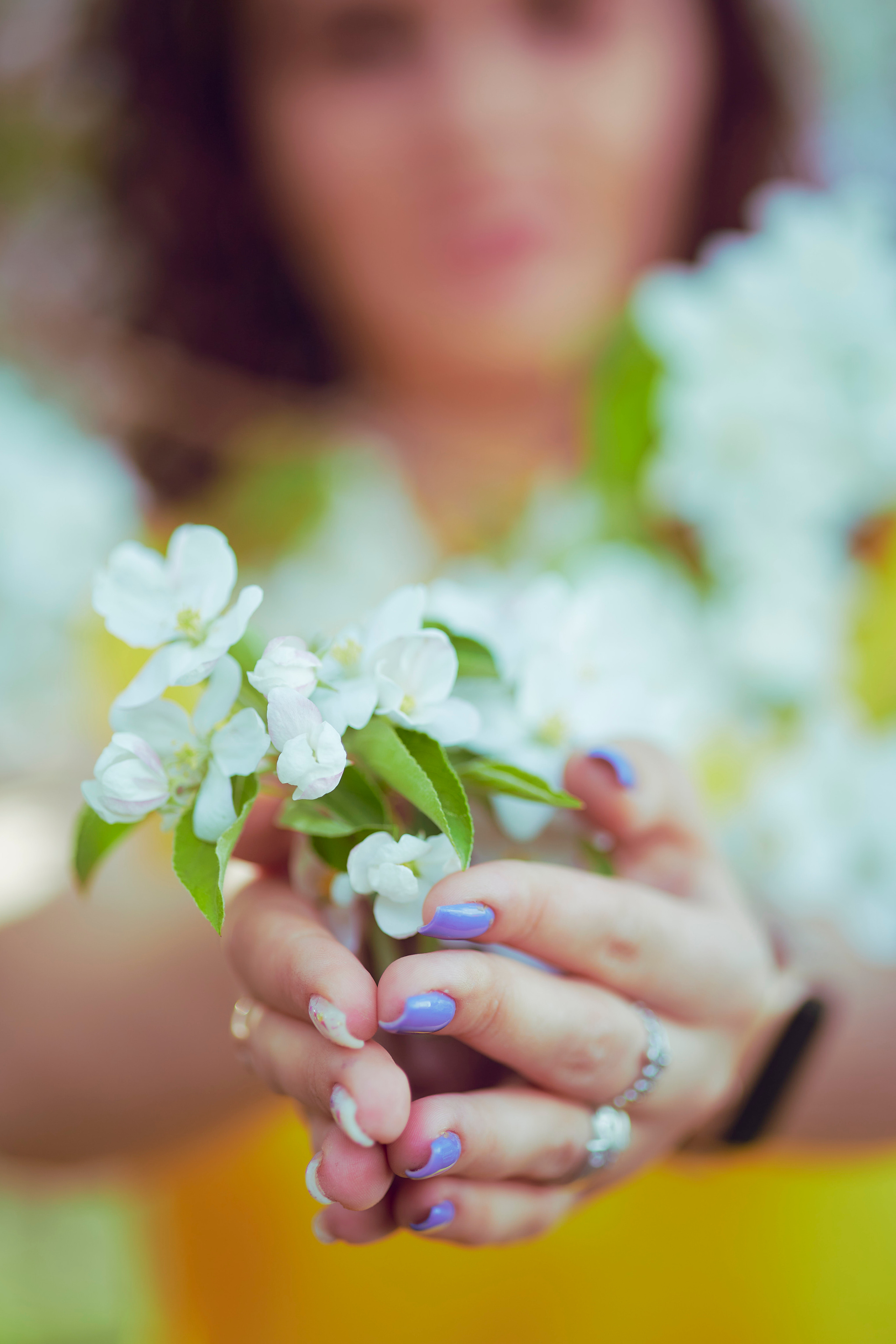 Фото с яблонями. Фотограф Иван Кузьмин на любое Ваше мероприятие