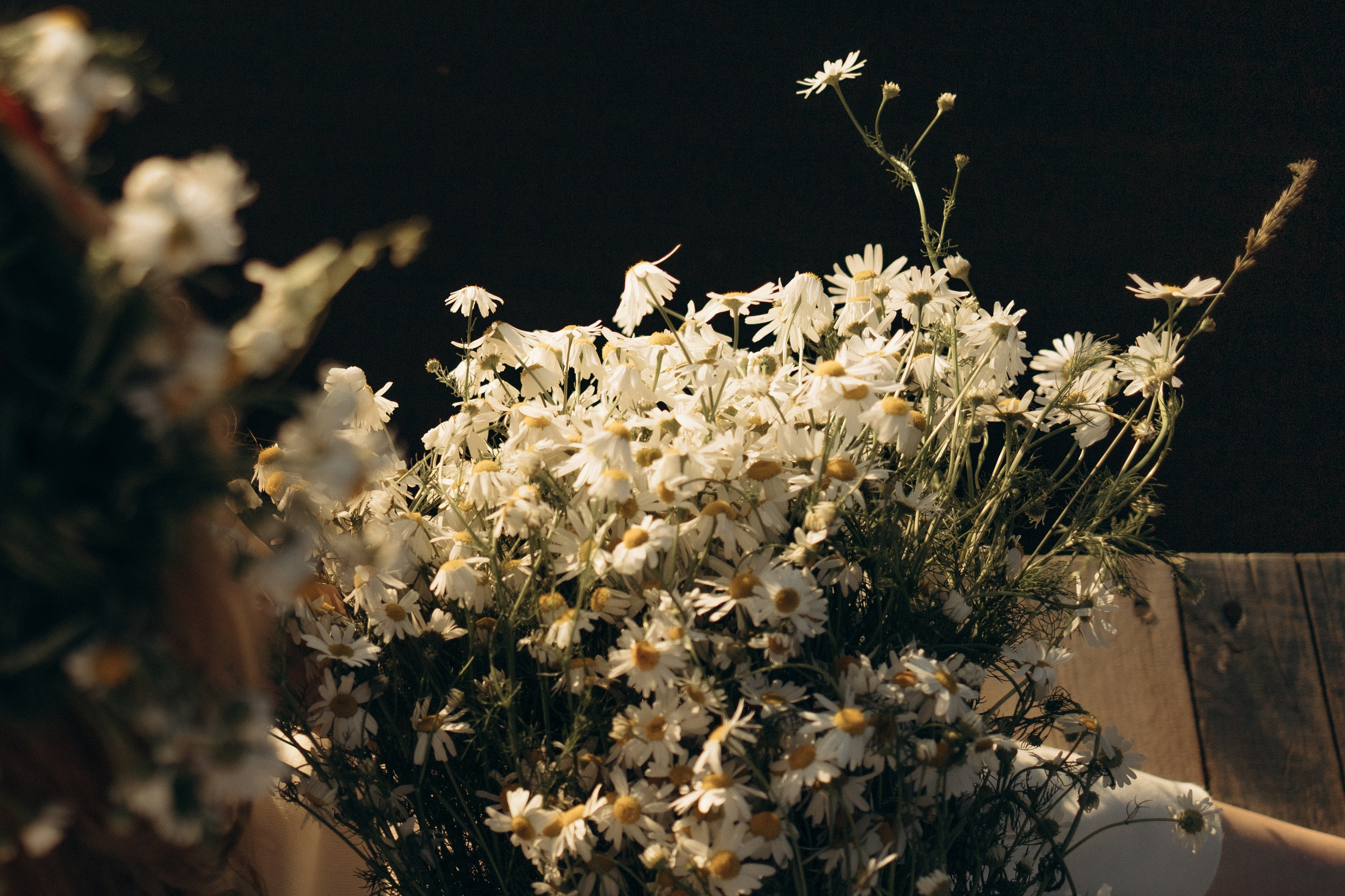 Фотопроект День Ивана Купала. Семейный фотограф в Ижевске Даша Денисова