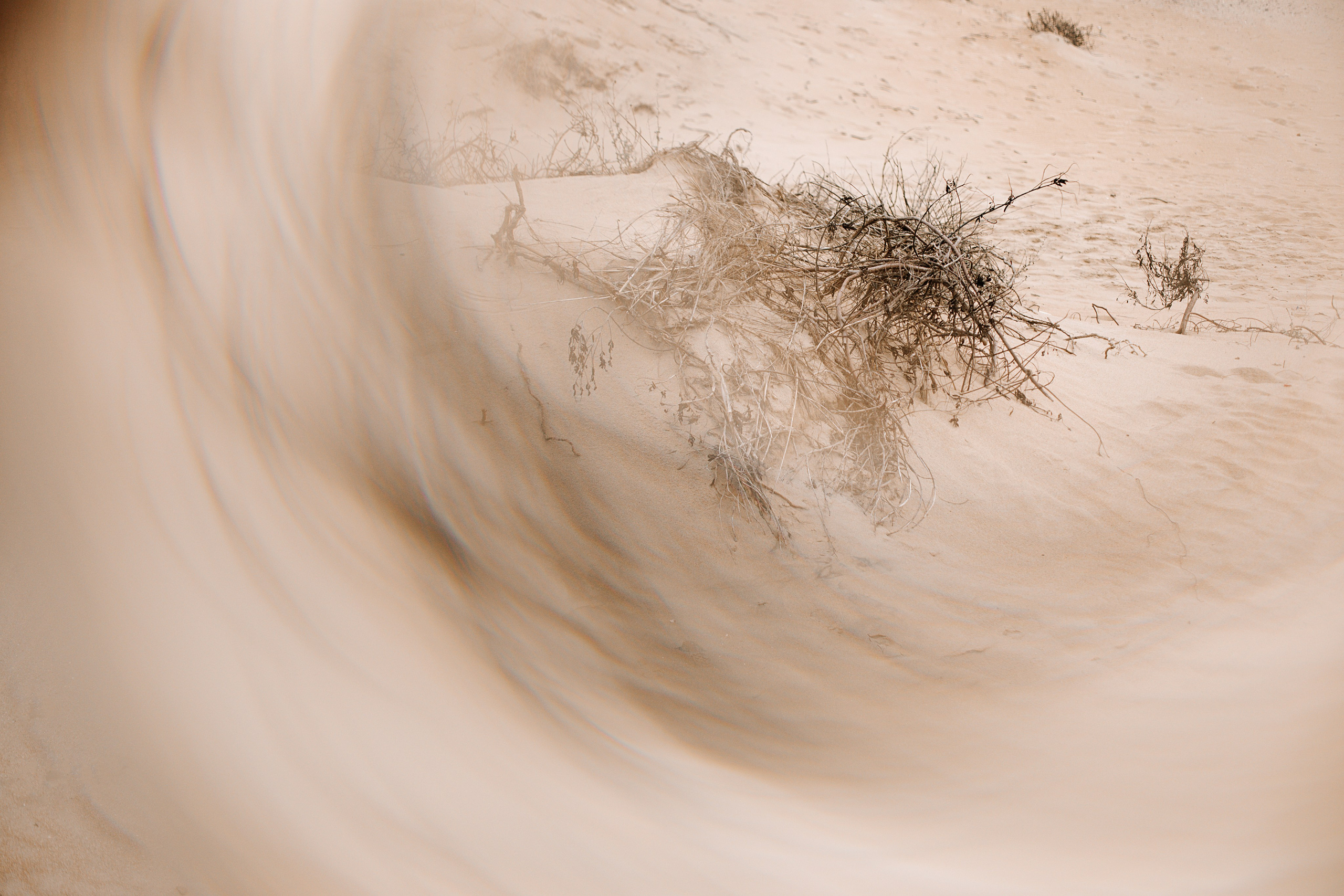 Природа. Свадебный и семейный фотограф/видеограф в Краснодаре Наталья Осинская