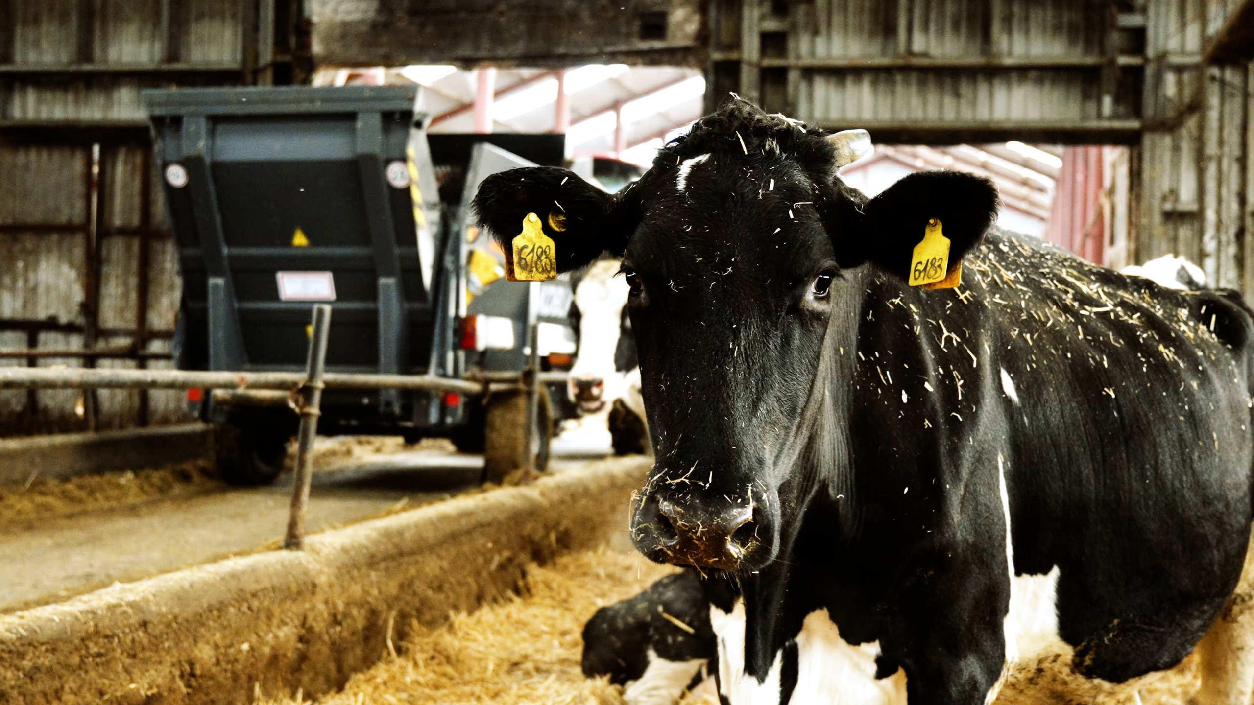 Аграриям и промышленности. Видеосъемка для бизнеса Воронеж